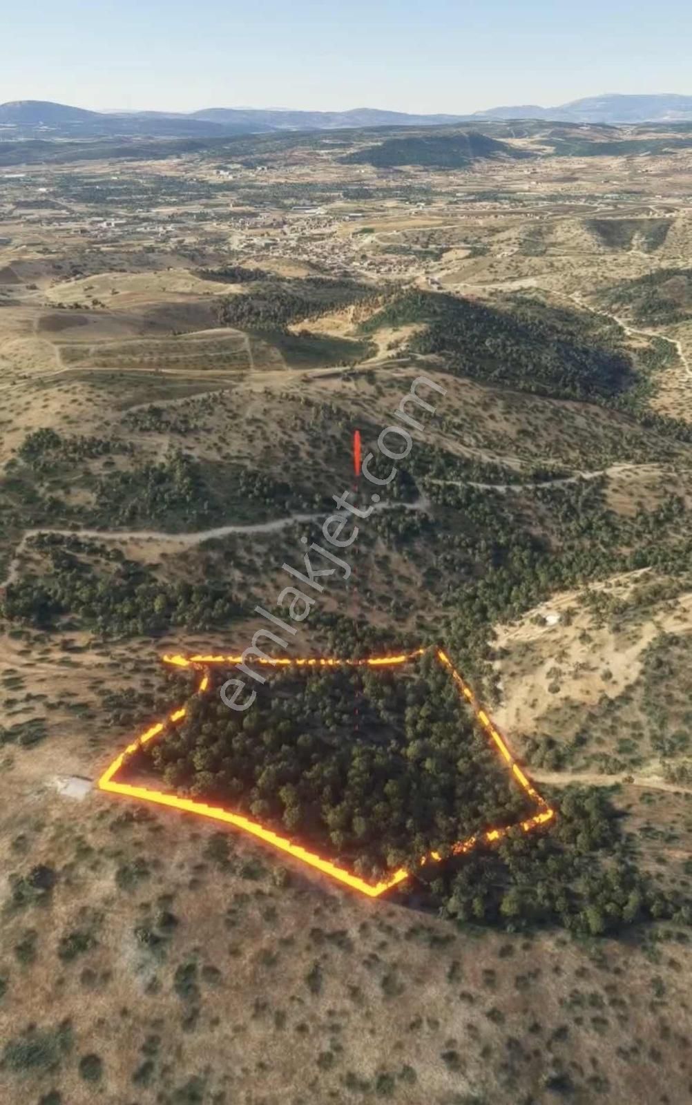İzmir / Seferihisar /ulamış Mahallesi Yatırımlık Zeytinlik Arazi - Görsel 2