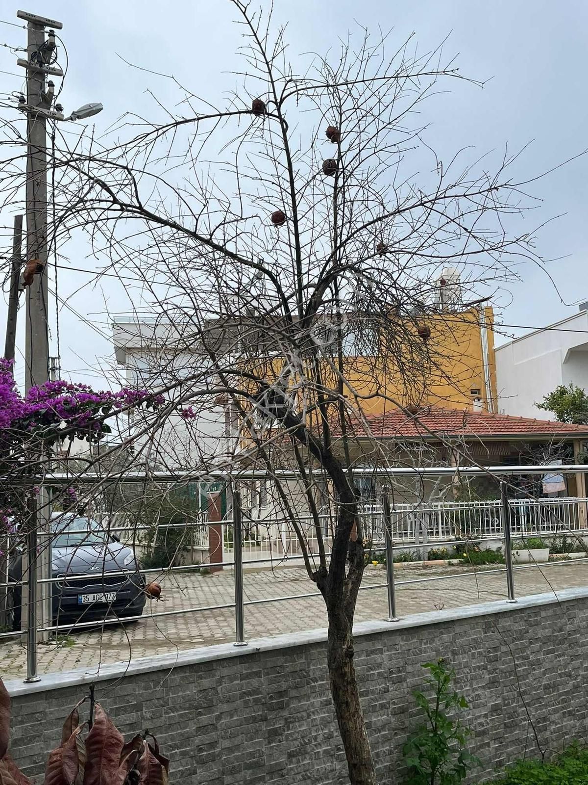 İzmir Seferihisar Payamlı Mahallesi Yazlık Villa - Görsel 15