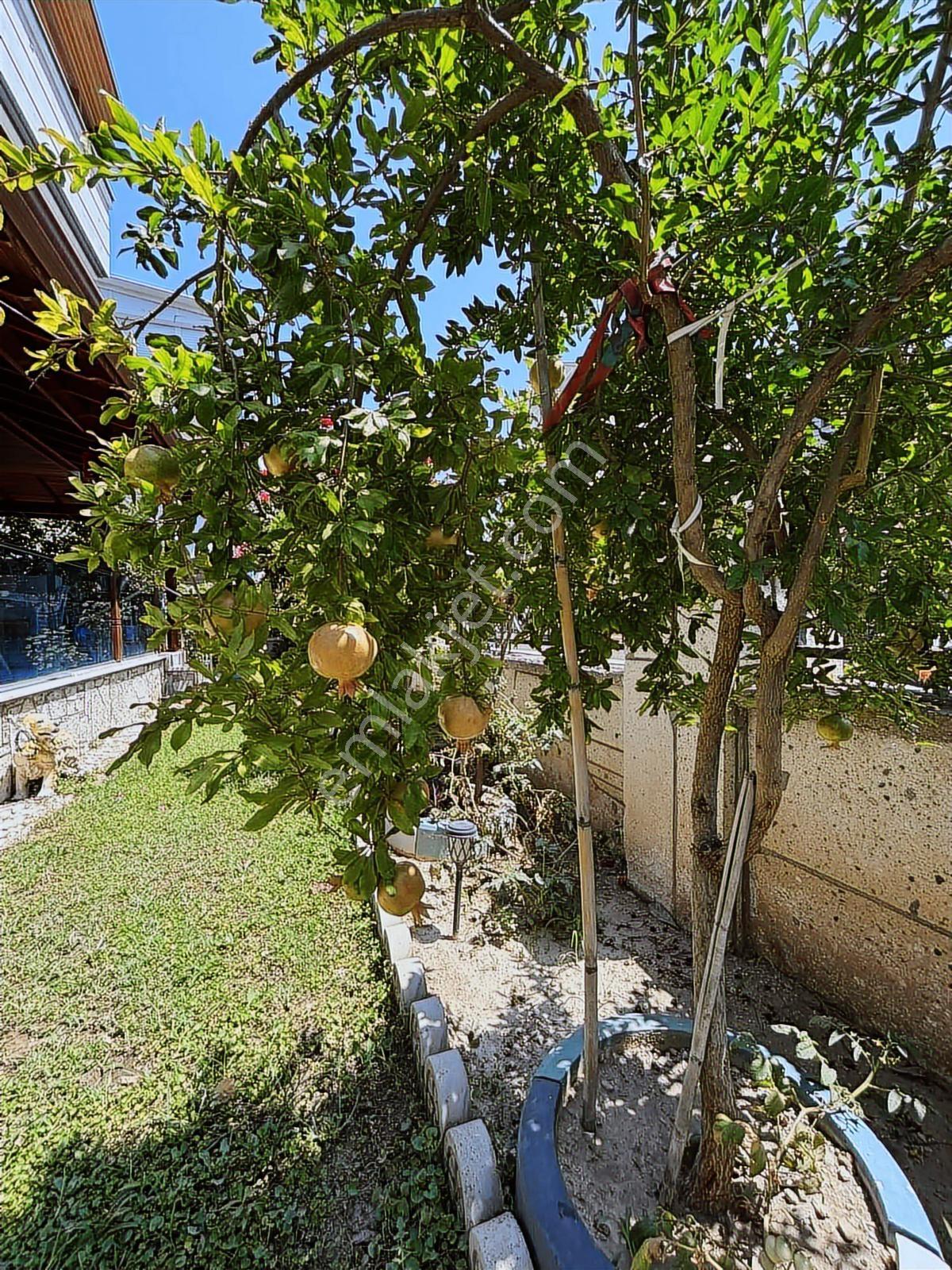 İzmir Seferihisar Bengiler Mahallesi Müstakil Villa - Görsel 27