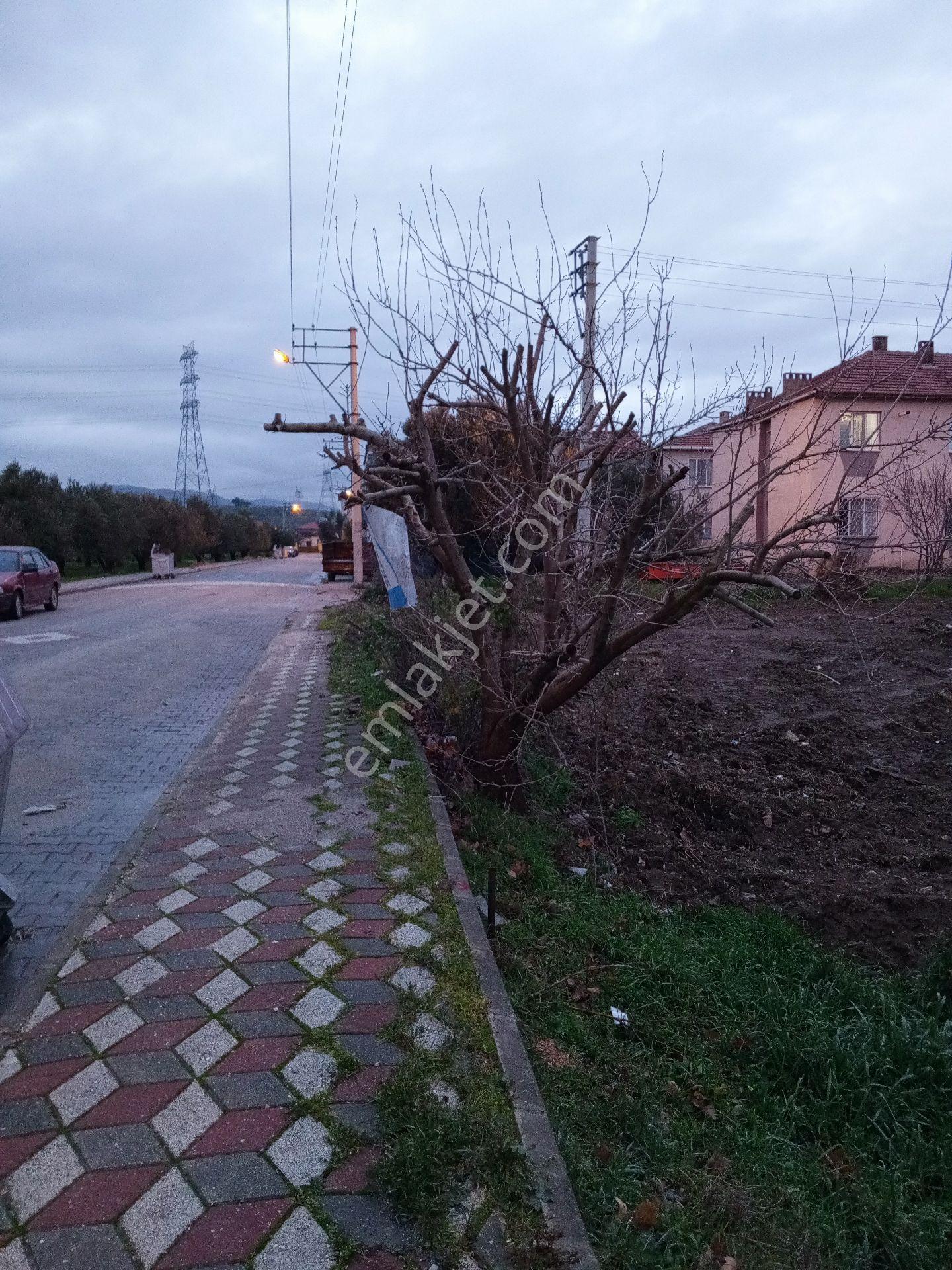 Yeliz'den Manisa Soma'da Geniş Arsa - Görsel 6