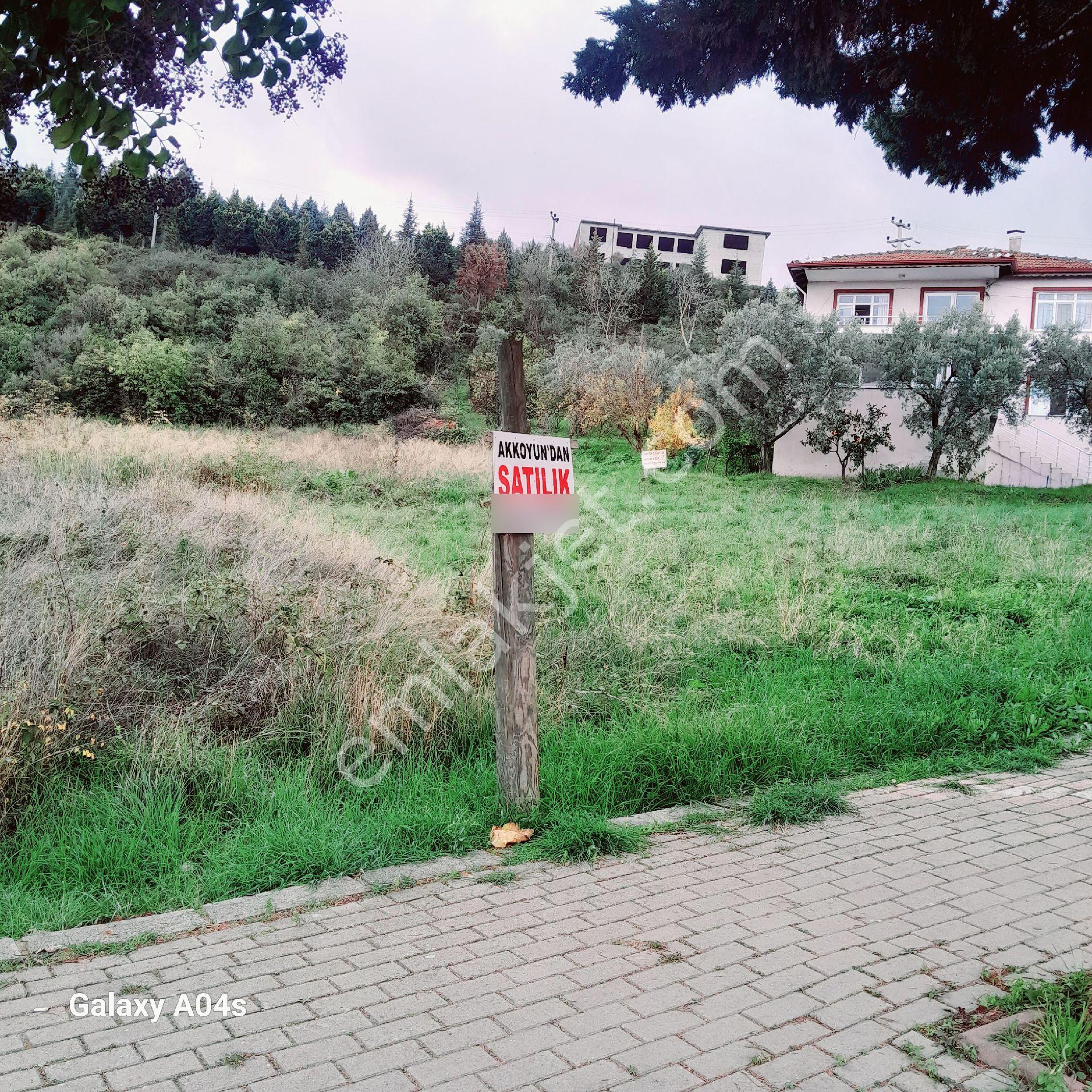 Akkoyundankaramursel Dereköyde Arsa - Görsel 3