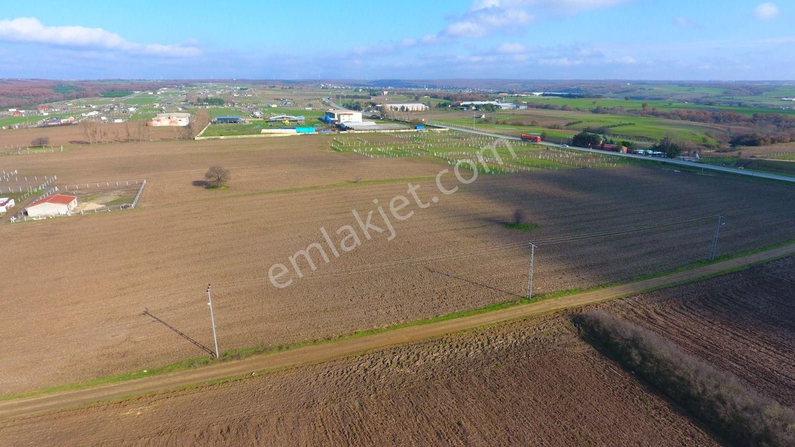 Ege Gayrimenkulden Büyükçavuşluda 7240 M2 Arazi - Görsel 11