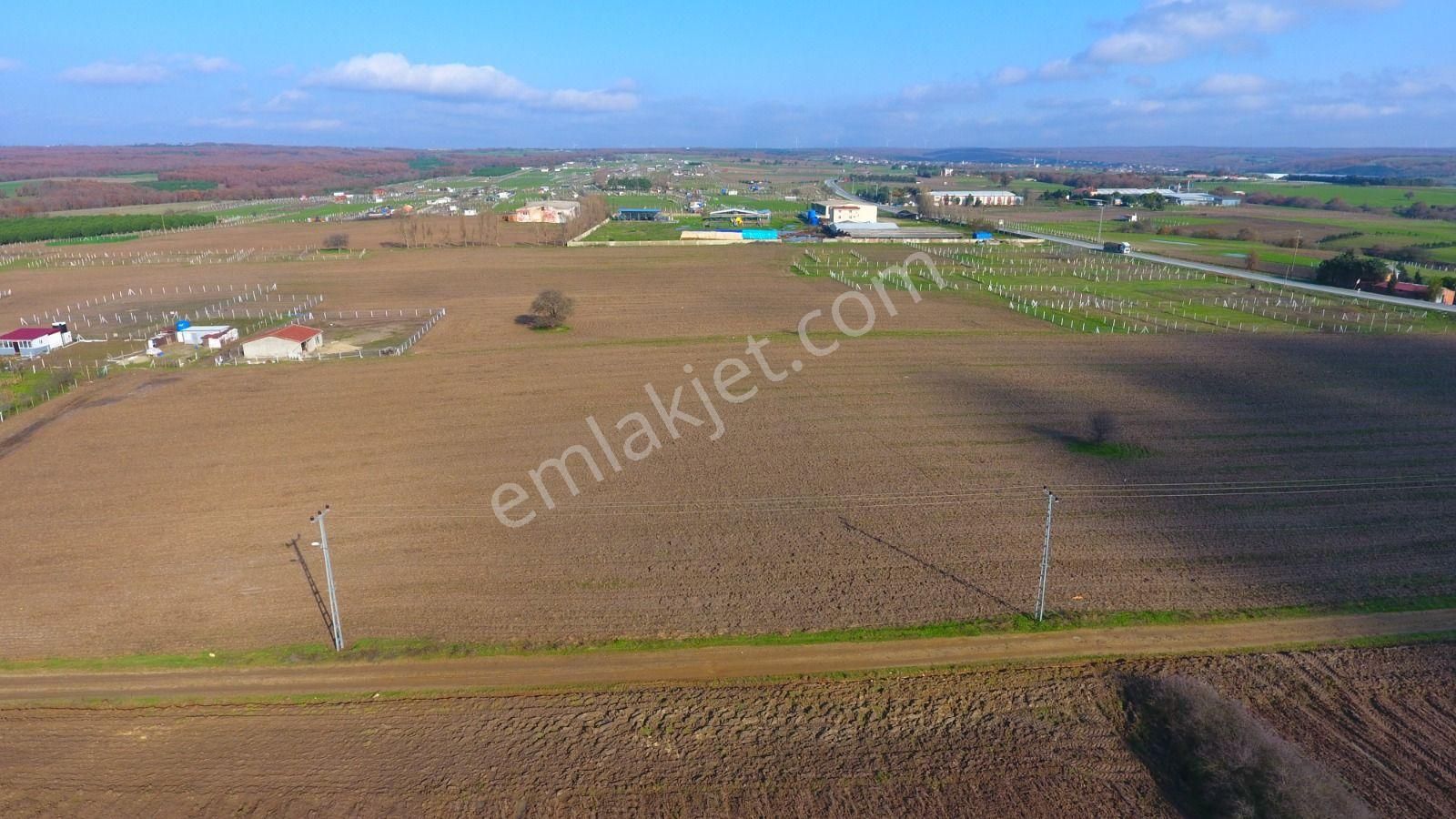 Ege Gayrimenkulden Büyükçavuşluda 7240 M2 Arazi - Görsel 10