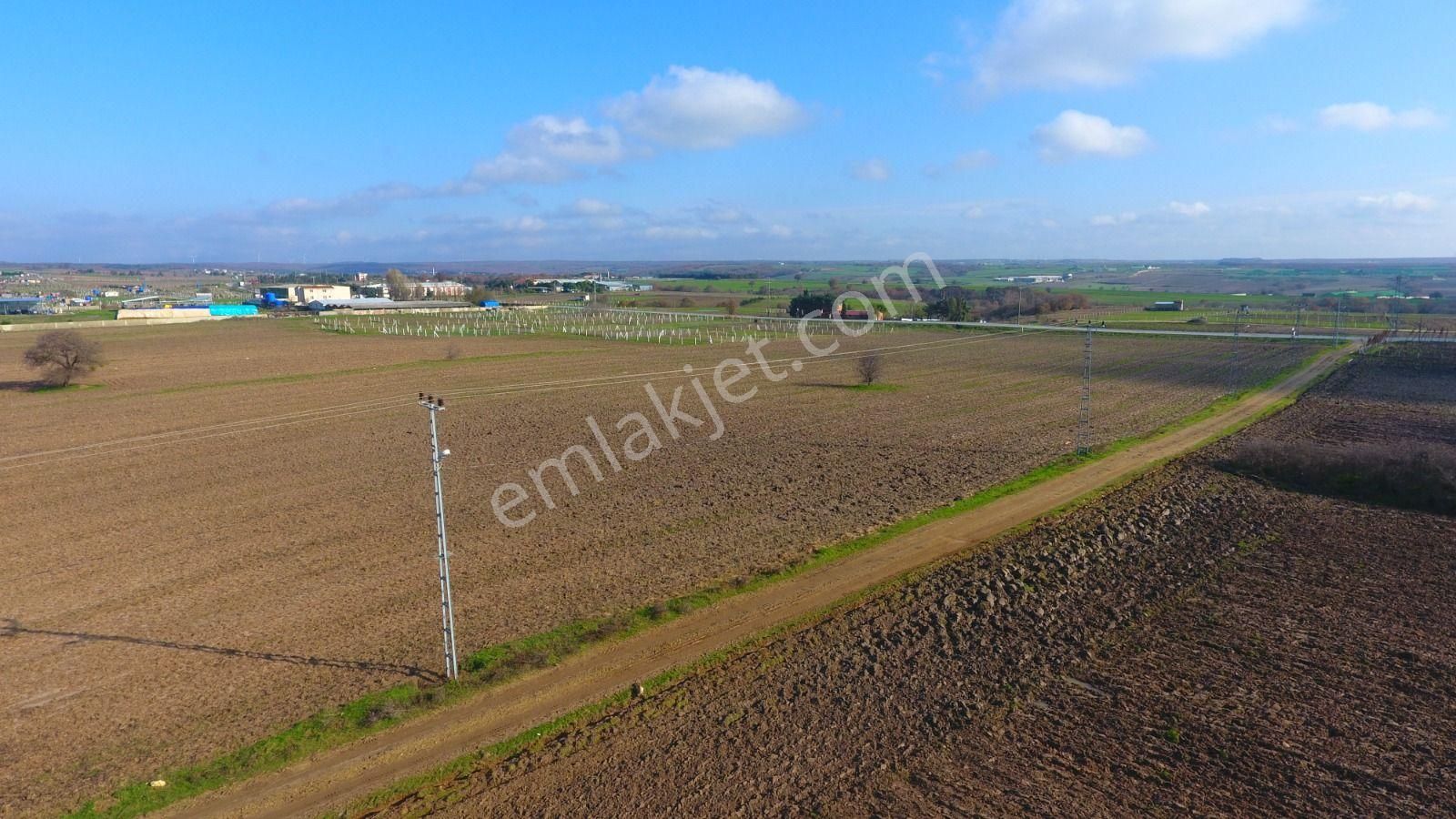 Ege Gayrimenkulden Büyükçavuşluda 7240 M2 Arazi - Görsel 15