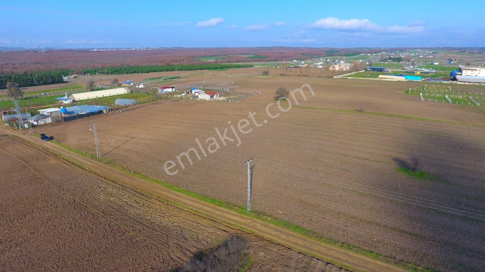 Ege Gayrimenkulden Büyükçavuşluda 7240 M2 Arazi - Görsel 9