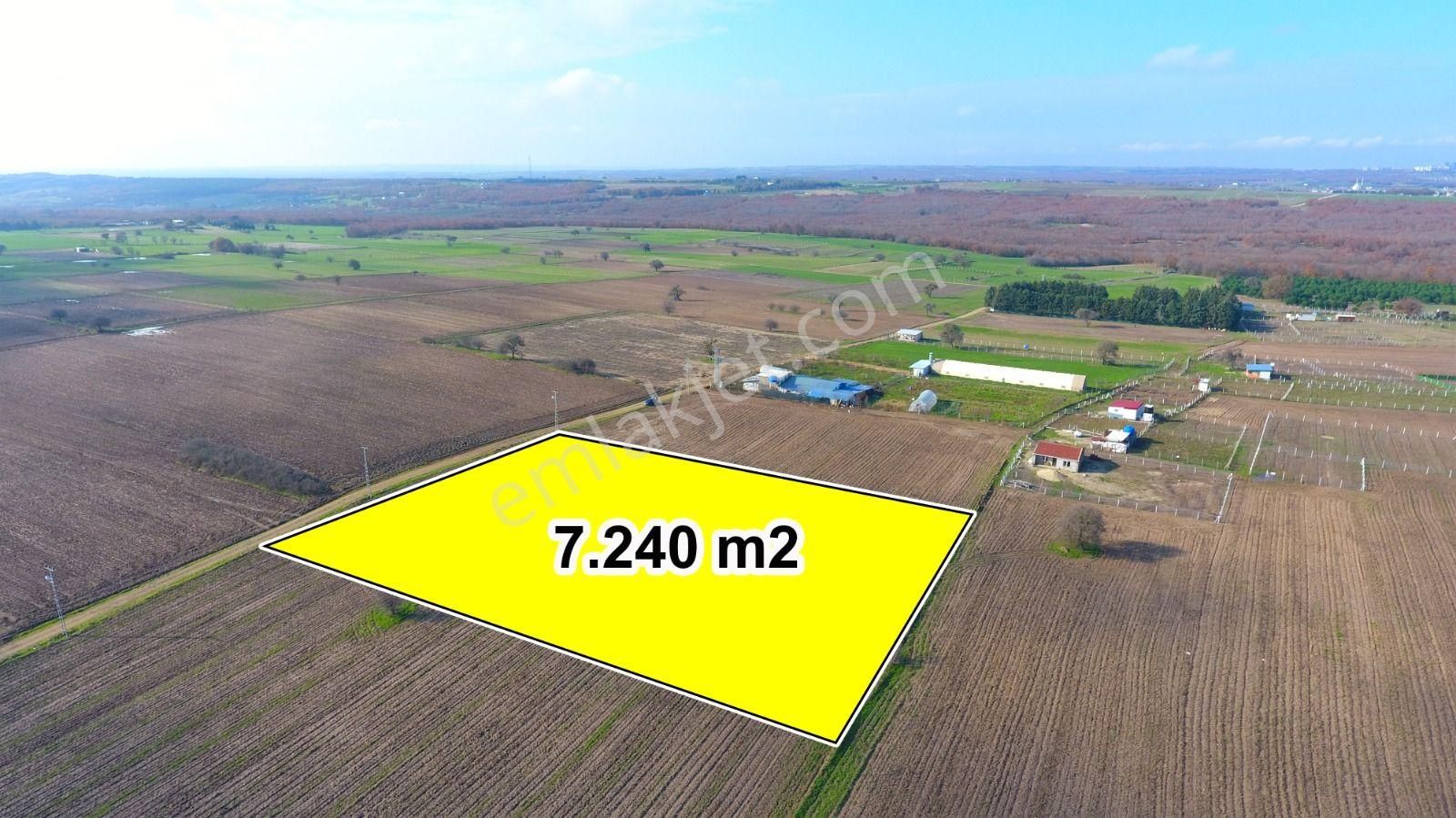 Ege Gayrimenkulden Büyükçavuşluda 7240 M2 Arazi - Görsel 12