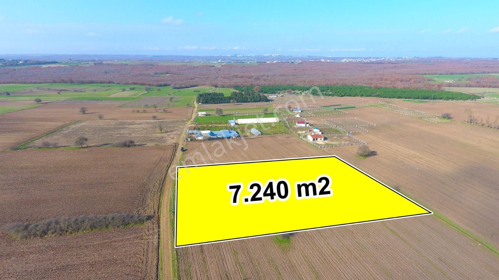 Ege Gayrimenkulden Büyükçavuşluda 7240 M2 Arazi - Görsel 6