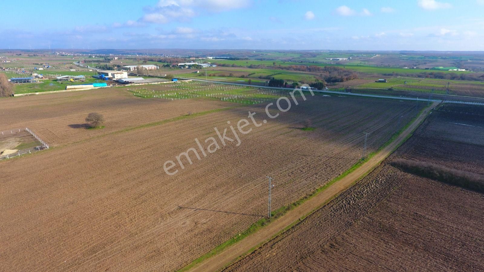 Ege Gayrimenkulden Büyükçavuşluda 7240 M2 Arazi - Görsel 7