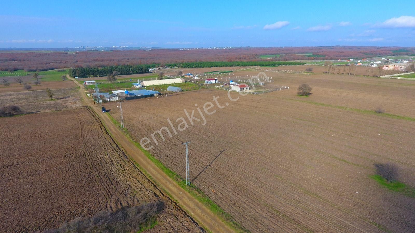 Ege Gayrimenkulden Büyükçavuşluda 7240 M2 Arazi - Görsel 8