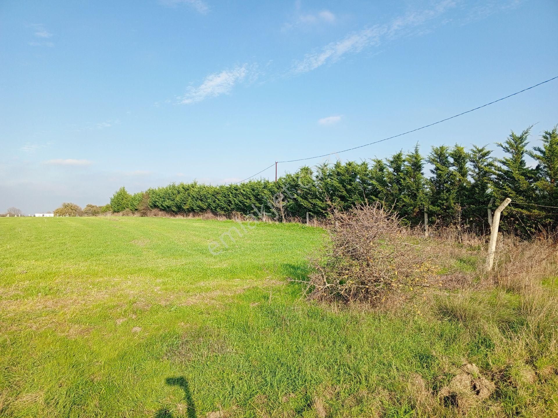 Ege Gayrimenkulden Büyükçavuşluda 10400 M2 Arazi - Görsel 2