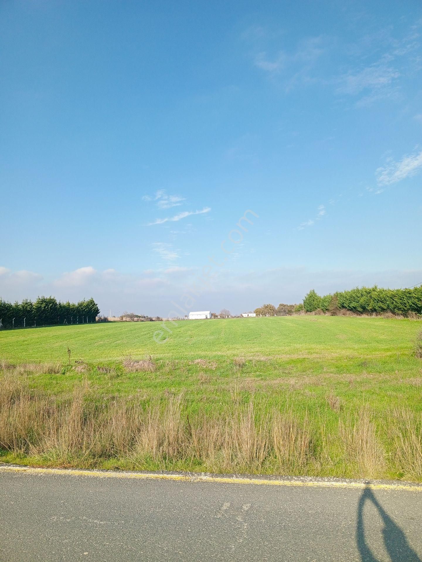 Ege Gayrimenkulden Büyükçavuşluda 10400 M2 Arazi - Görsel 9