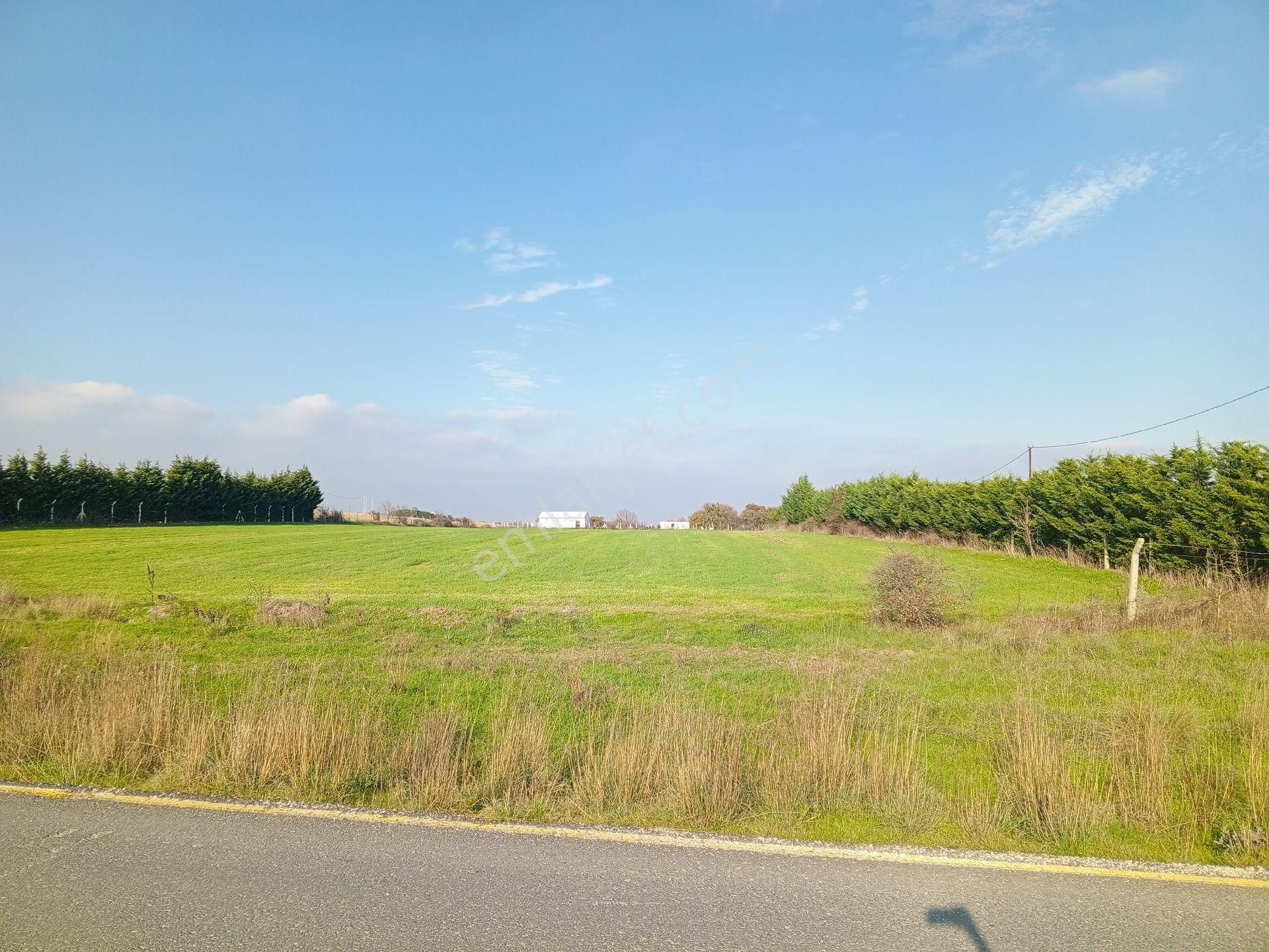 Ege Gayrimenkulden Büyükçavuşluda 10400 M2 Arazi - Görsel 10