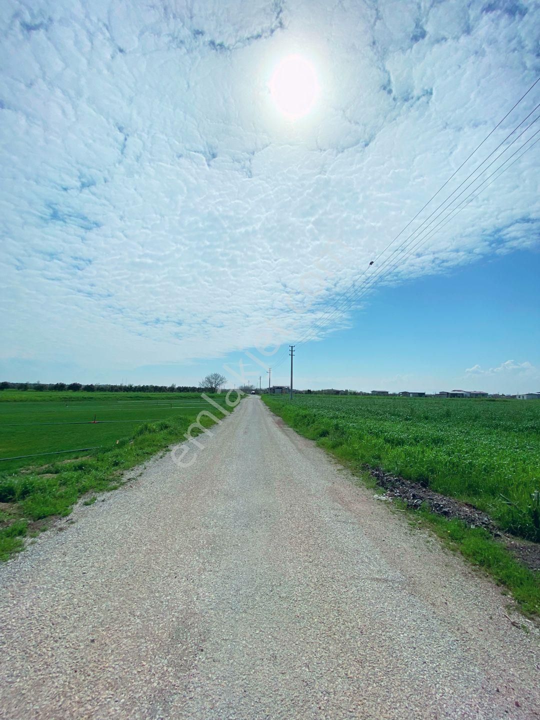 Mendereste Net 500 M2 Köşe Cephe Arsa ( Açıklamayı Tam Okuyun ) Komisyonsuz - Görsel 28