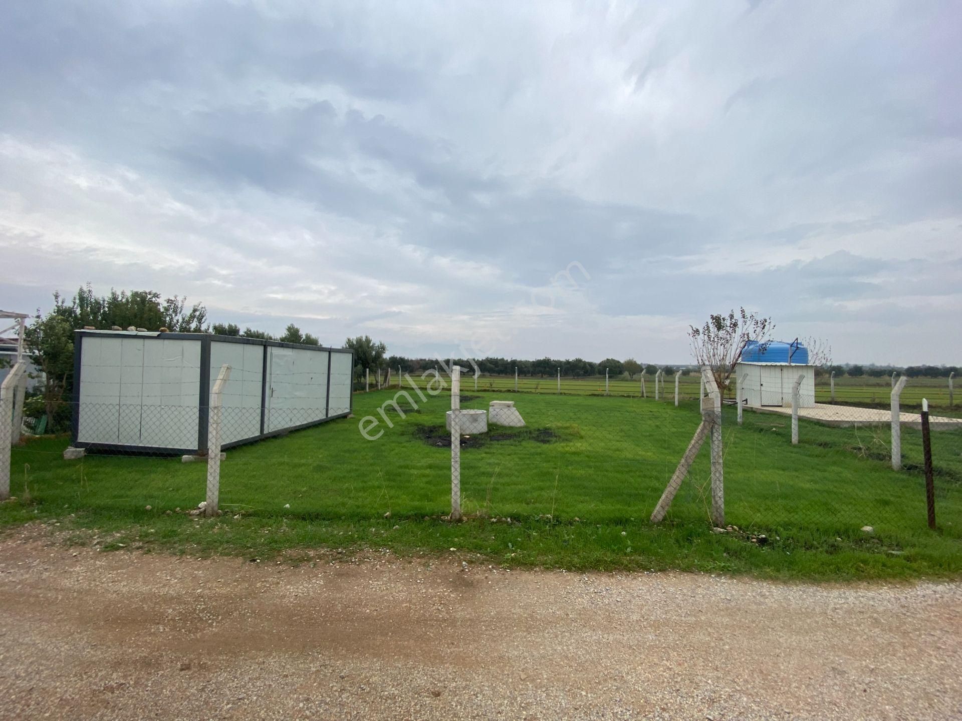 Mendereste Net 500 M2 Köşe Cephe Arsa ( Açıklamayı Tam Okuyun ) Komisyonsuz - Görsel 6