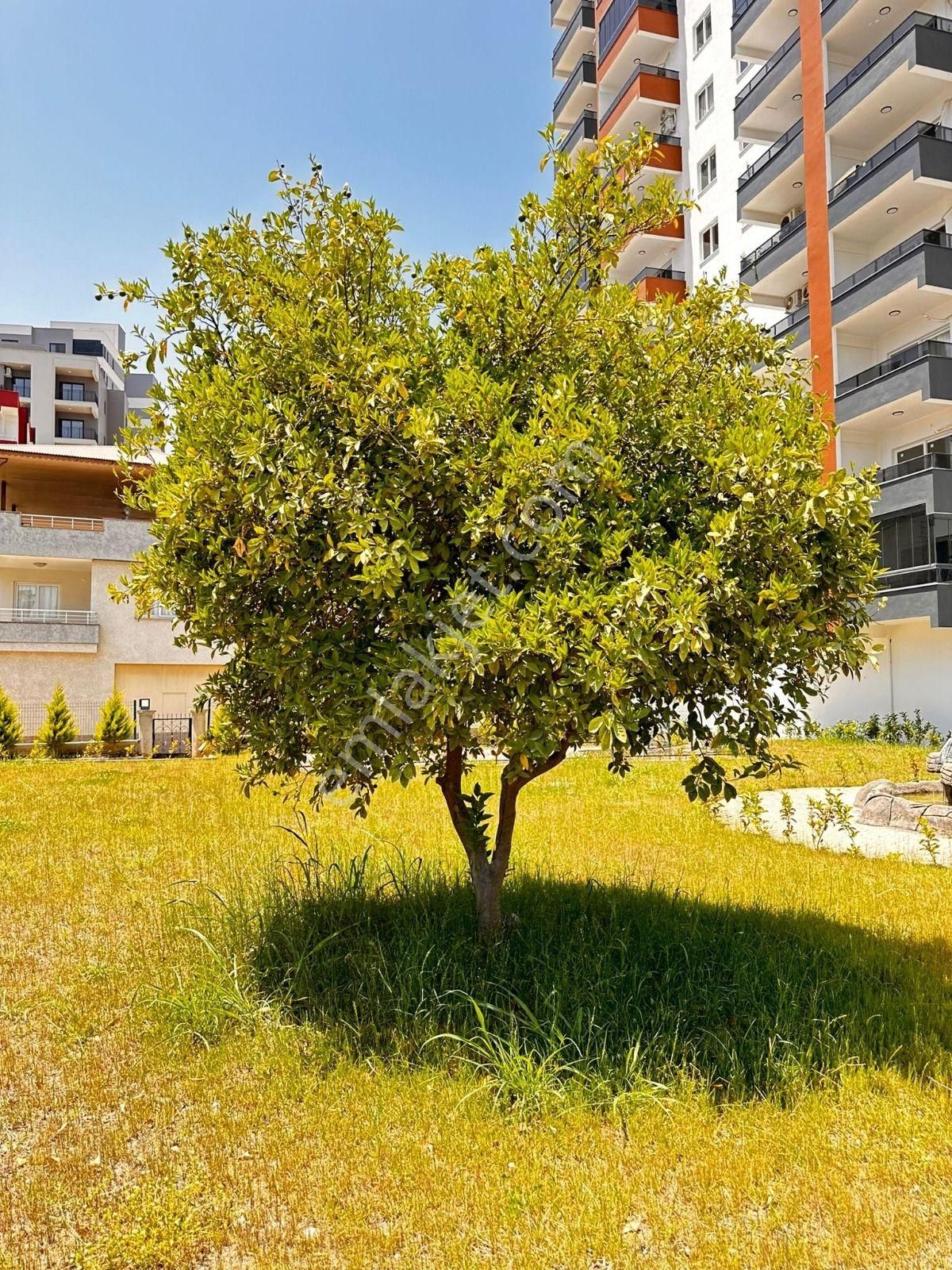 Erdemli Arpaçbahşiş 1+1 Eşyalı Sıfır Önü Kapanmaz Satılık Daire - Görsel 18