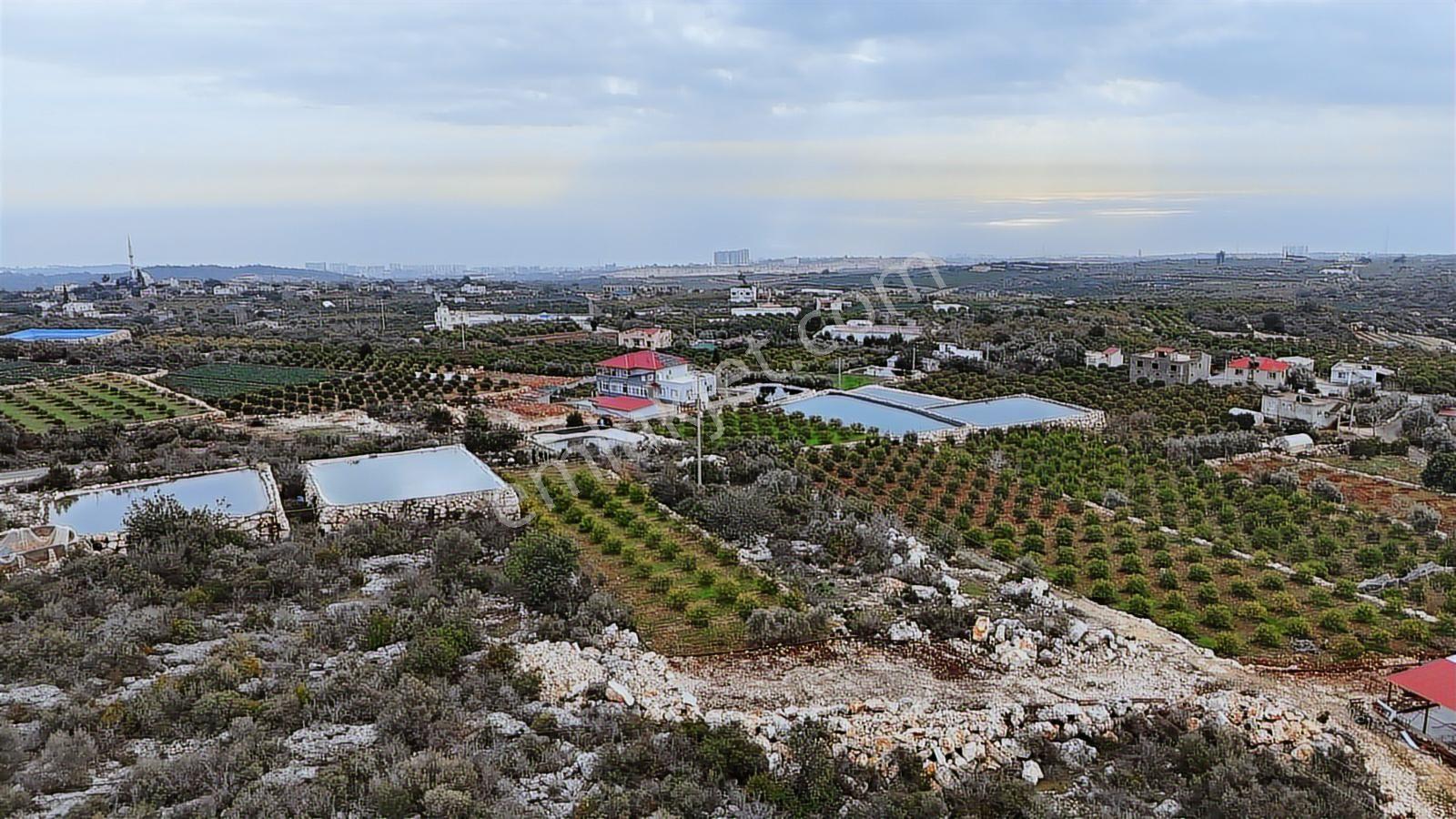 Erdemli Batısandal Satılık 1200 M2 Ev Yapım Uygun Limon Bahçesi - Görsel 15