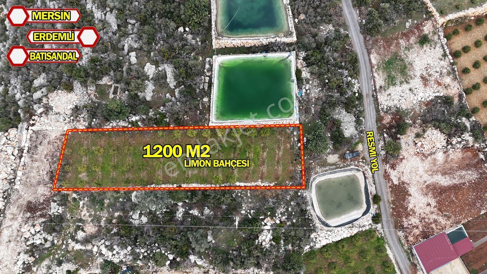 Erdemli Batısandal Satılık 1200 M2 Ev Yapım Uygun Limon Bahçesi - Görsel 20
