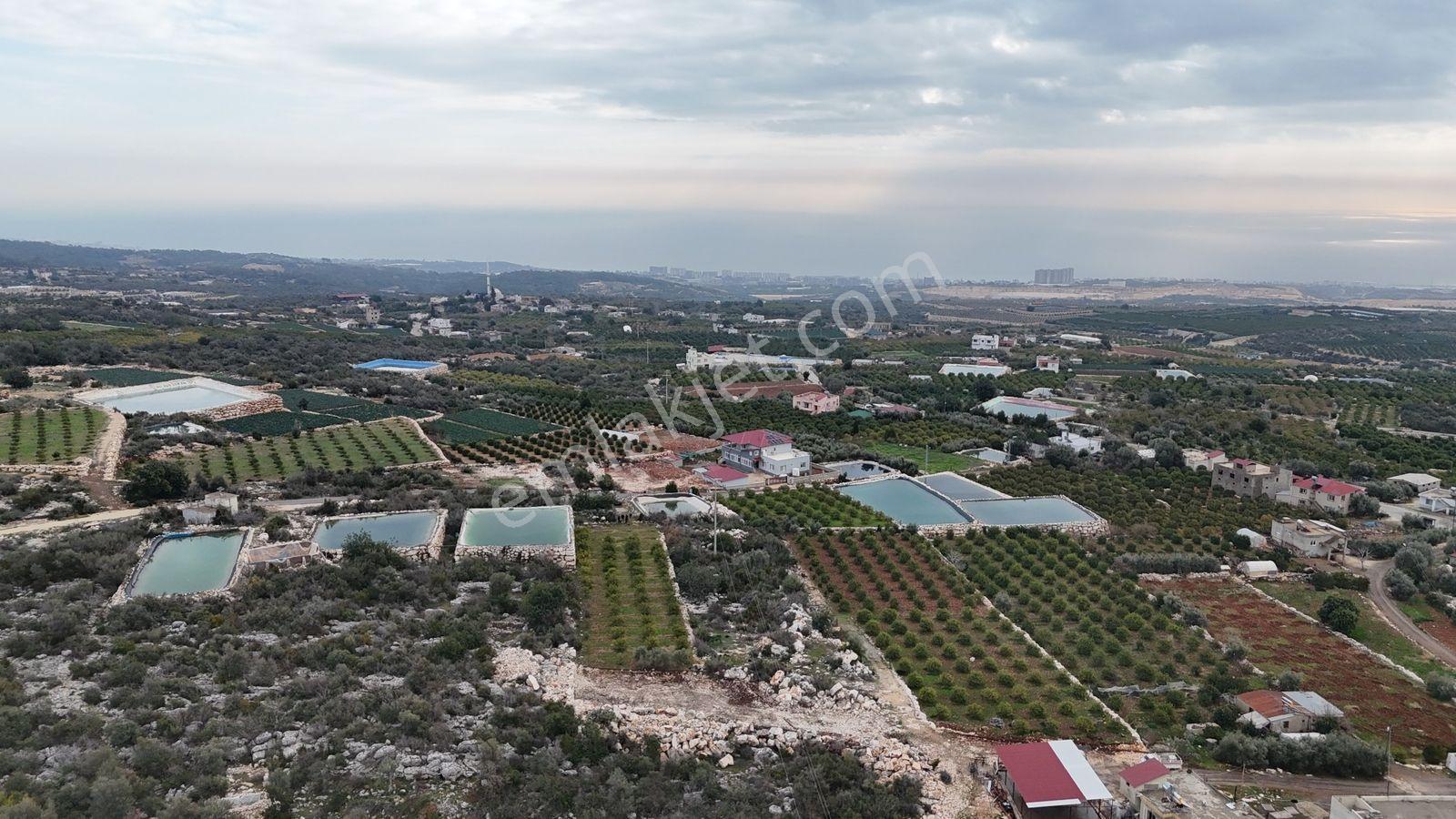 Erdemli Batısandal Satılık 1200 M2 Ev Yapım Uygun Limon Bahçesi