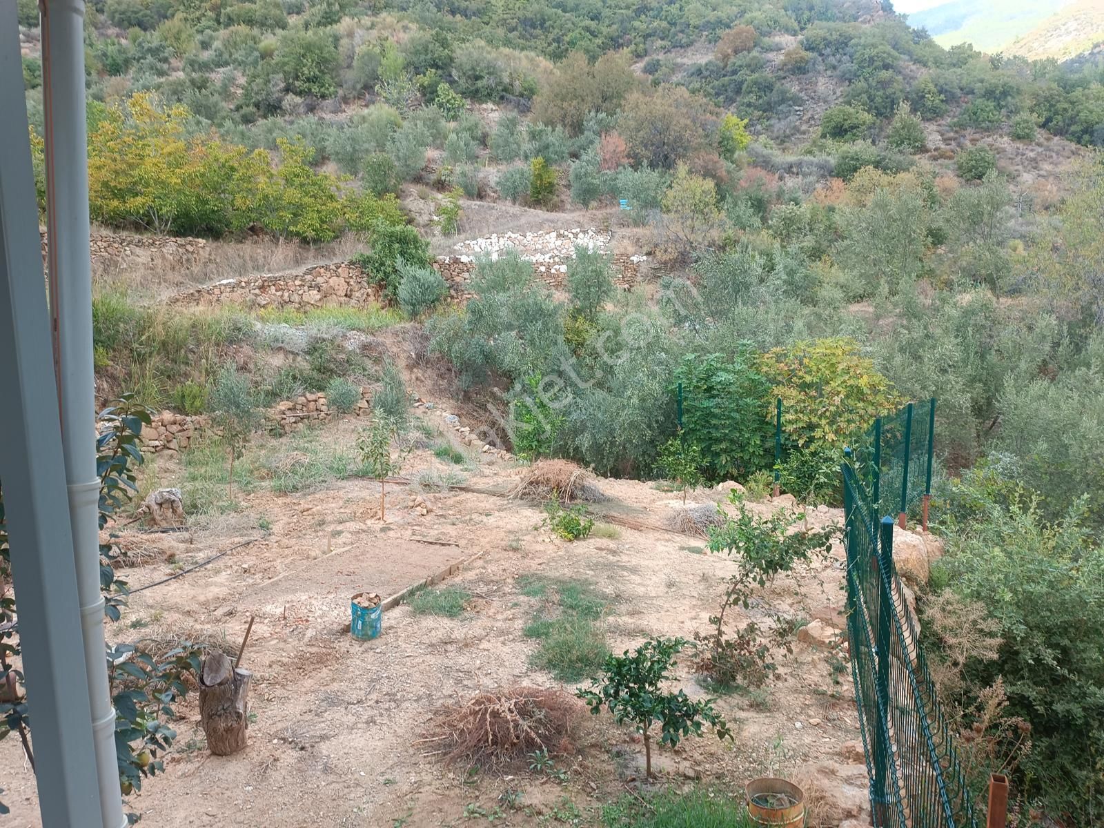 Mahmutlar Şıhlar Mahallesi İçinde Evi Olan Satılık Tarla - Görsel 31