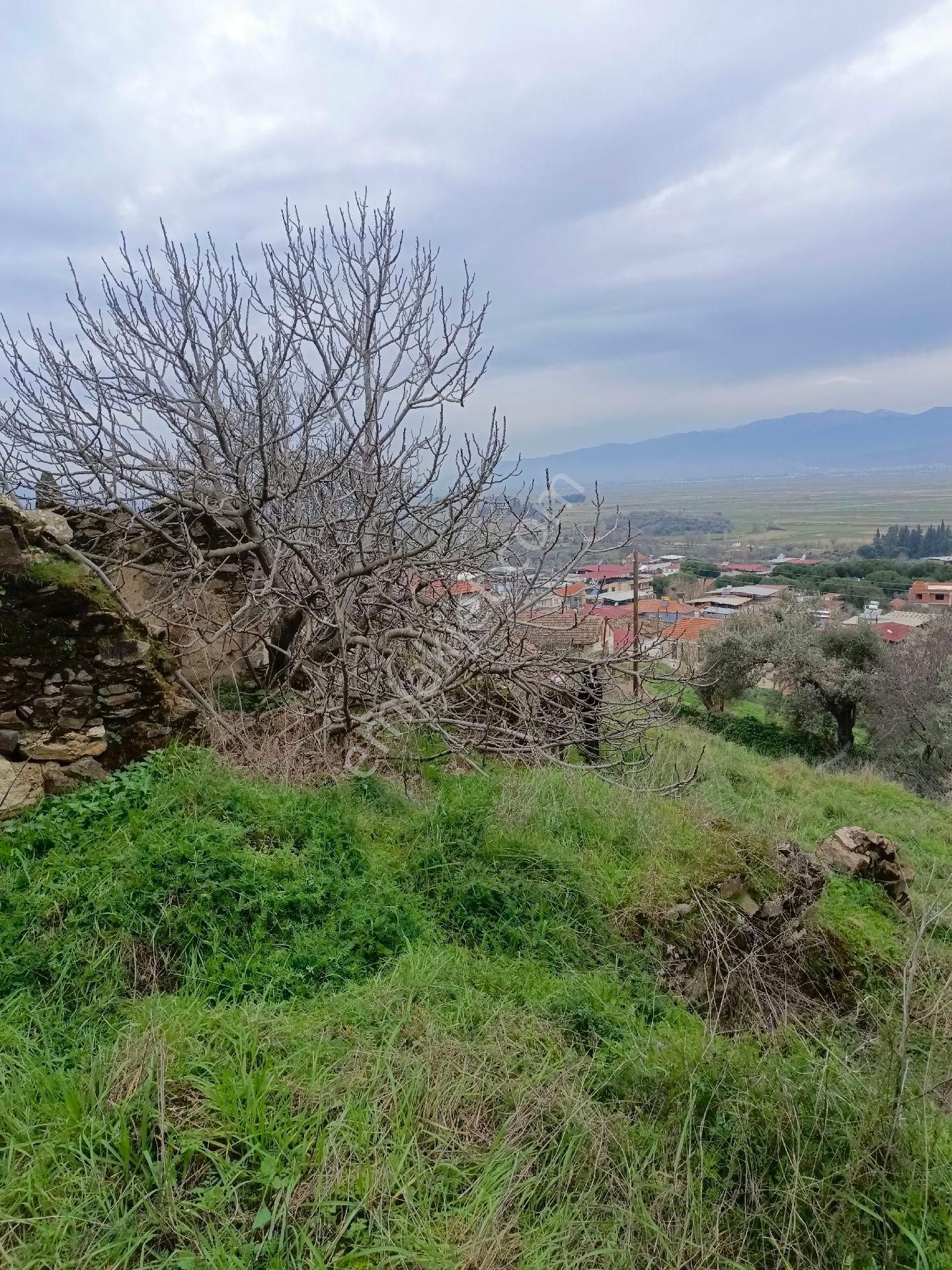 Aydın Yenipazar Hamzabali Köyünde Satılıık Arsa