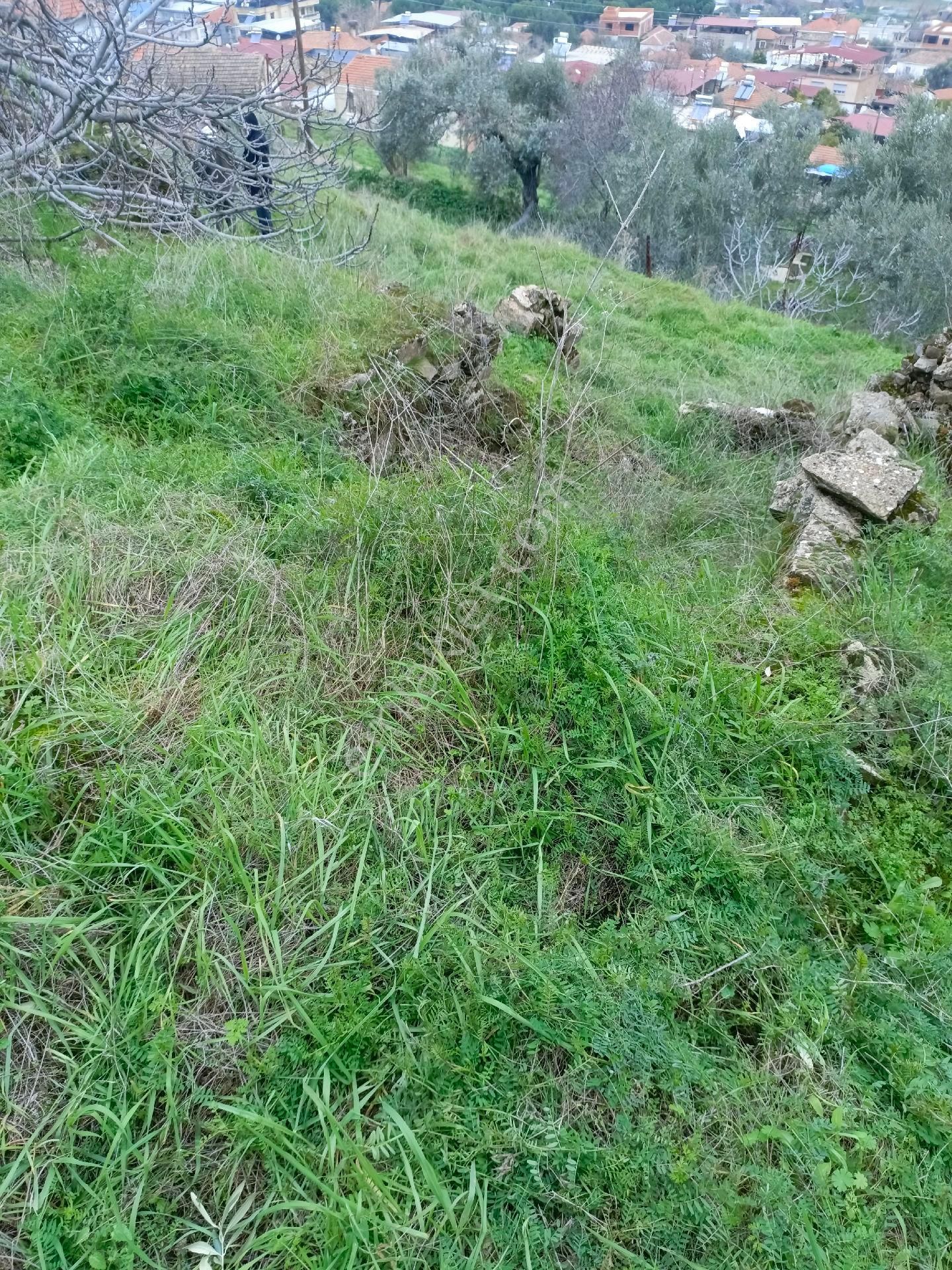 Aydın Yenipazar Hamzabali Köyünde Satılıık Arsa - Görsel 2