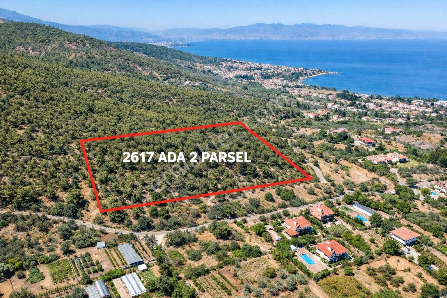 Ünlükoç Gayrimenkul Güzelbahçe Çamlı'da Zeytinlik