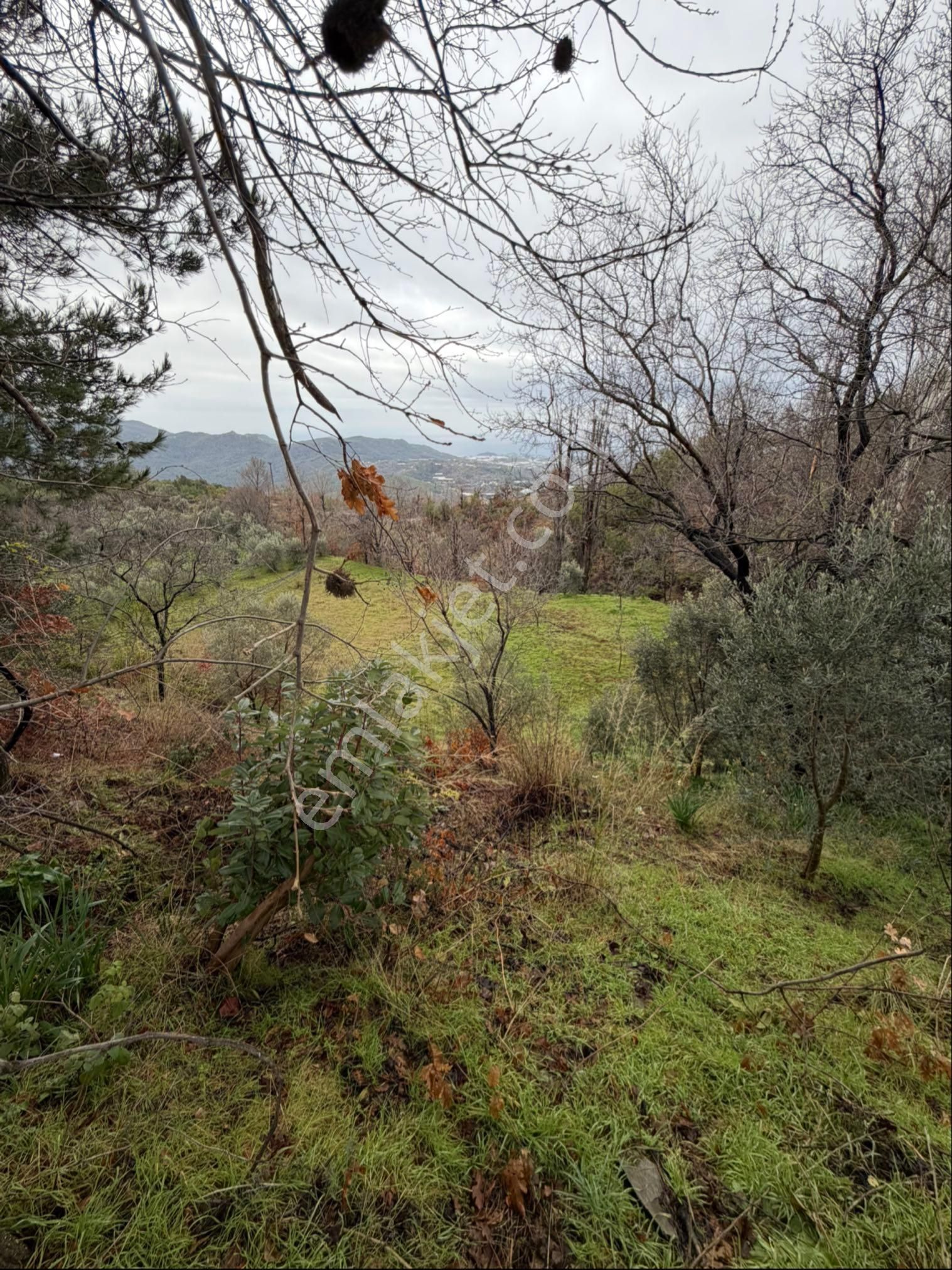 Alanya Mahmutseydi De Deniz Manzaralı 959 M2 Satılık Tarla - Görsel 2
