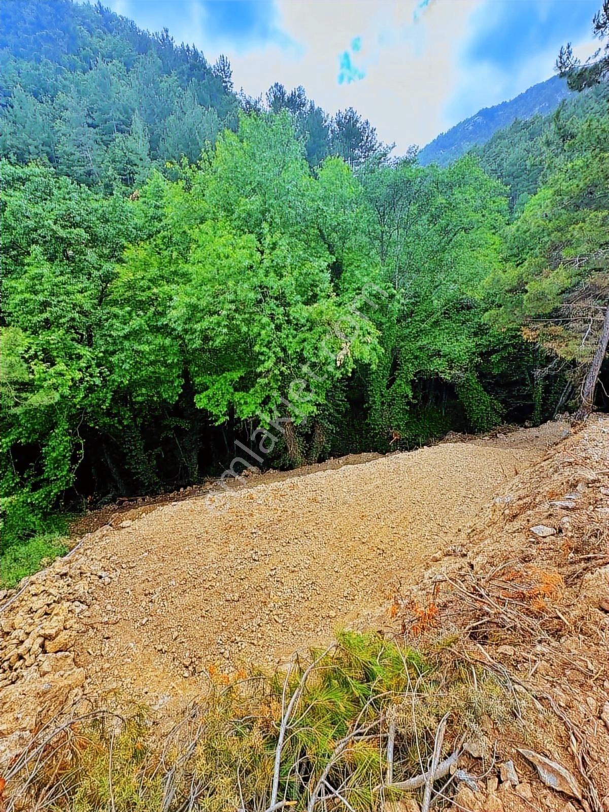 Dere Kenarı Doğa İçinde Yolu Suyu Olan Fırsat Tarla - Görsel 25