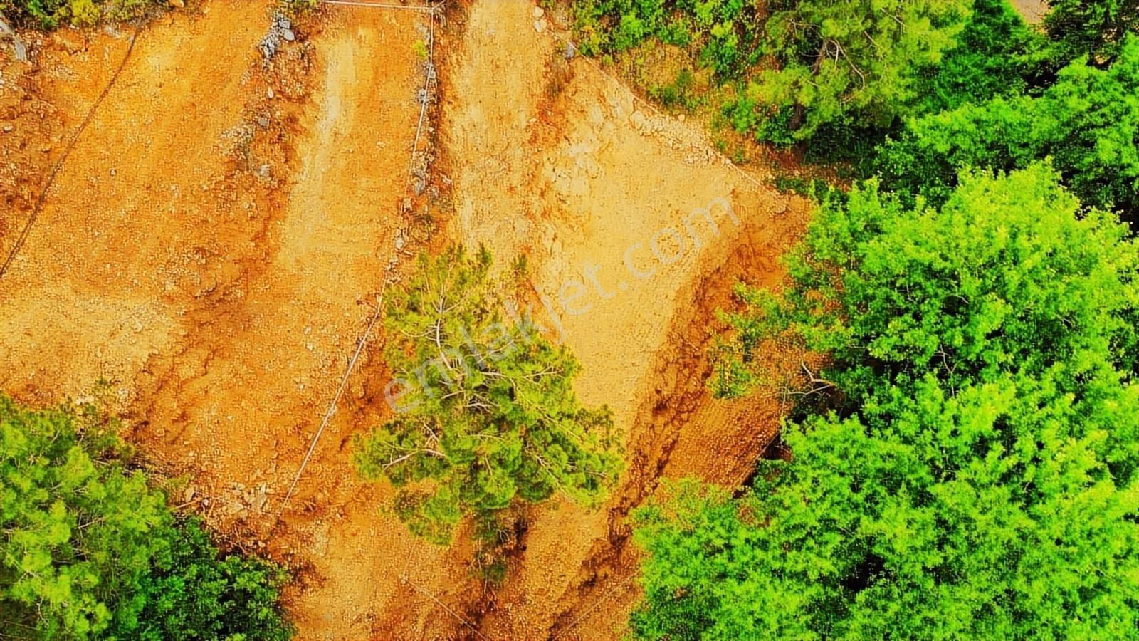 Dere Kenarı Doğa İçinde Yolu Suyu Olan Fırsat Tarla - Görsel 17