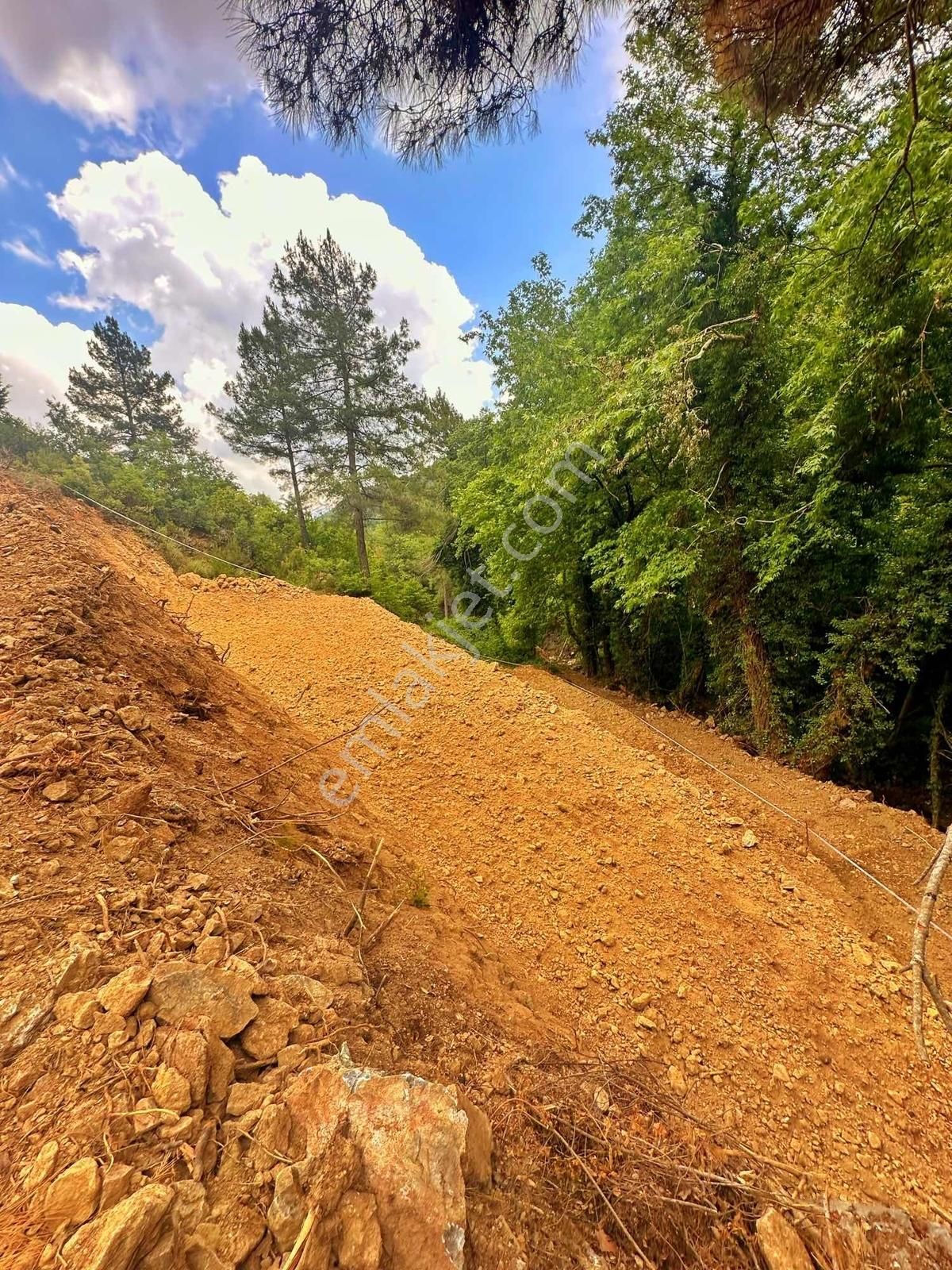 Dere Kenarı Doğa İçinde Yolu Suyu Olan Fırsat Tarla - Görsel 8