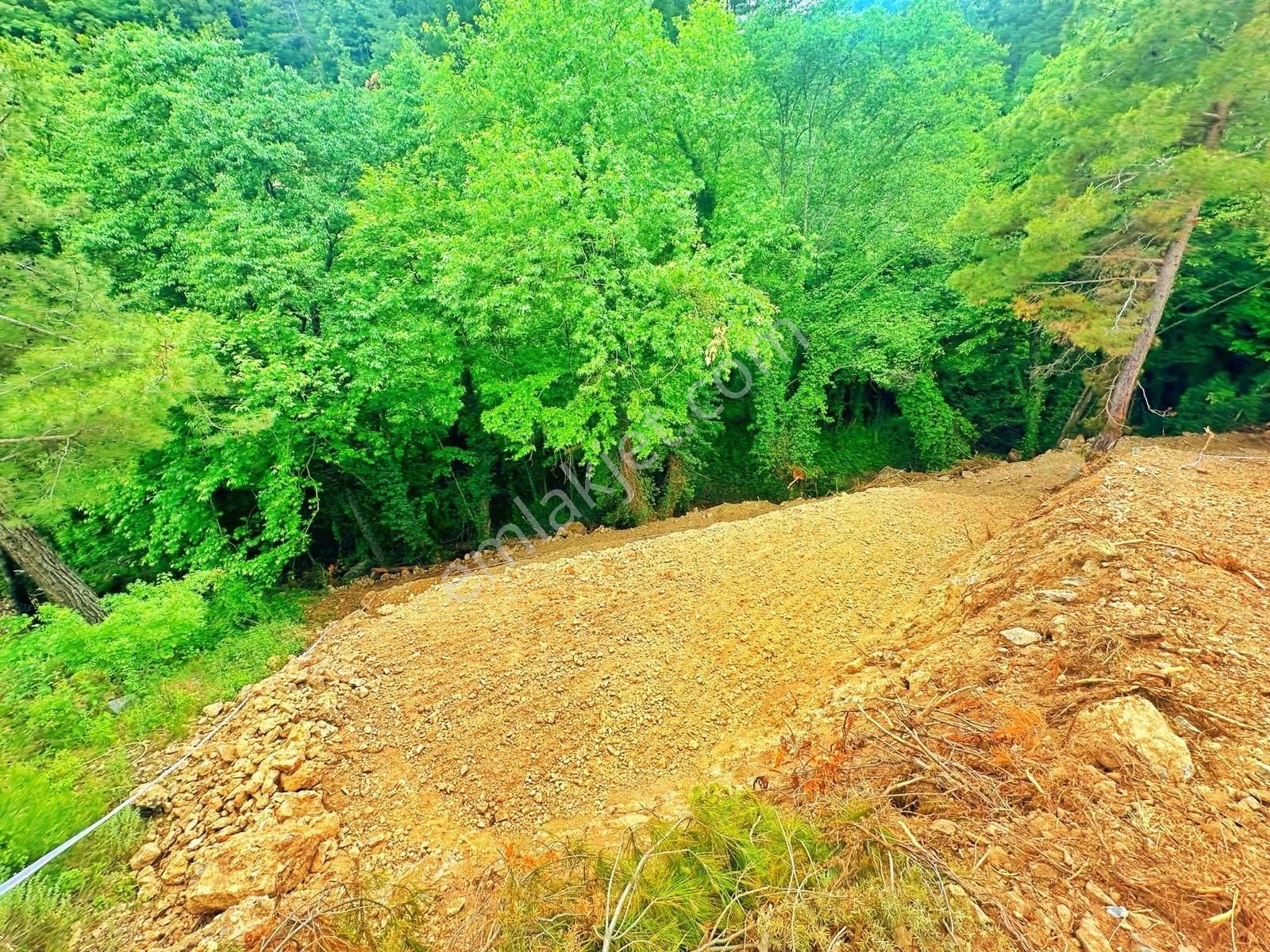 Dere Kenarı Doğa İçinde Yolu Suyu Olan Fırsat Tarla