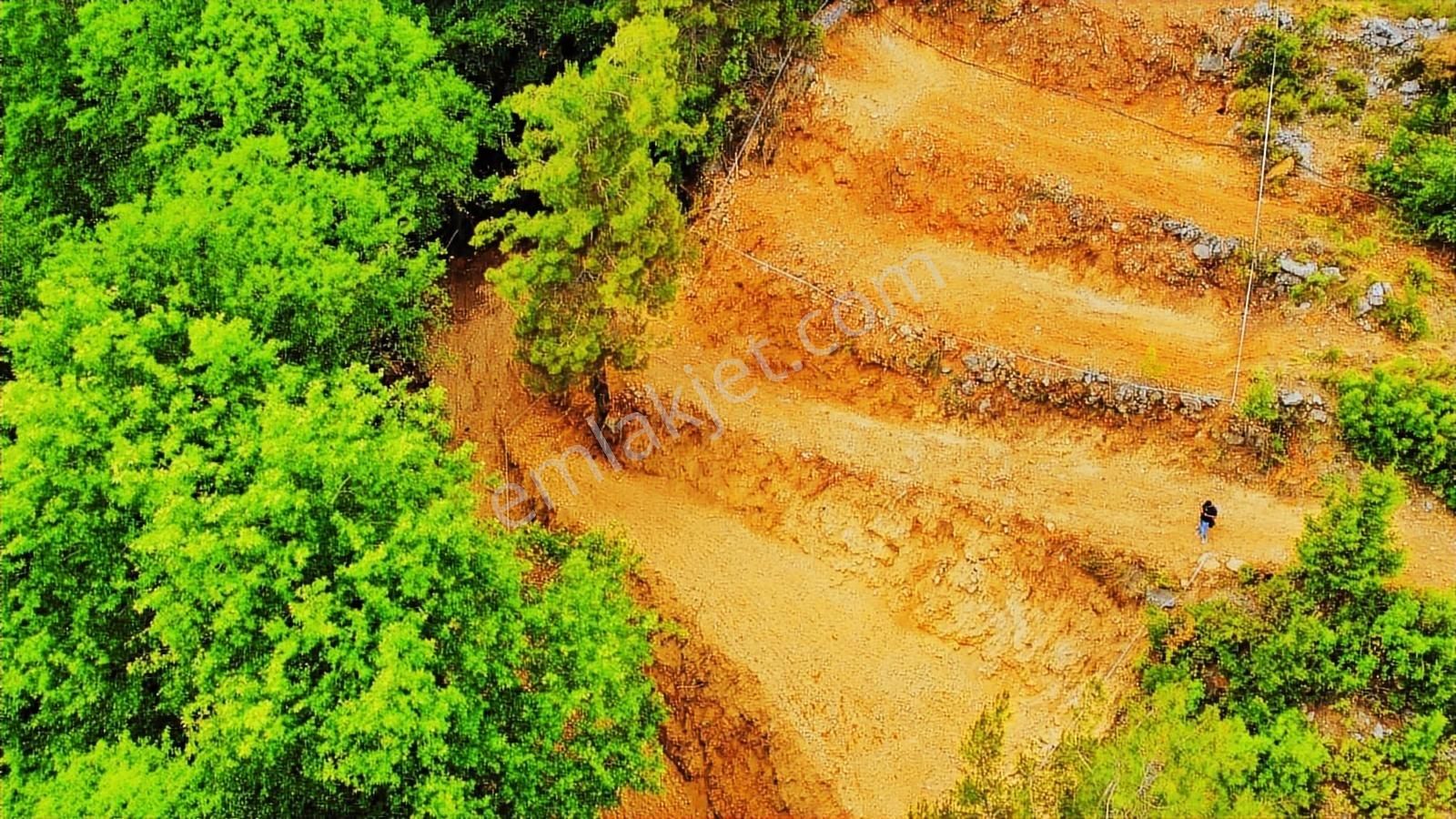 Dere Kenarı Doğa İçinde Yolu Suyu Olan Fırsat Tarla - Görsel 9