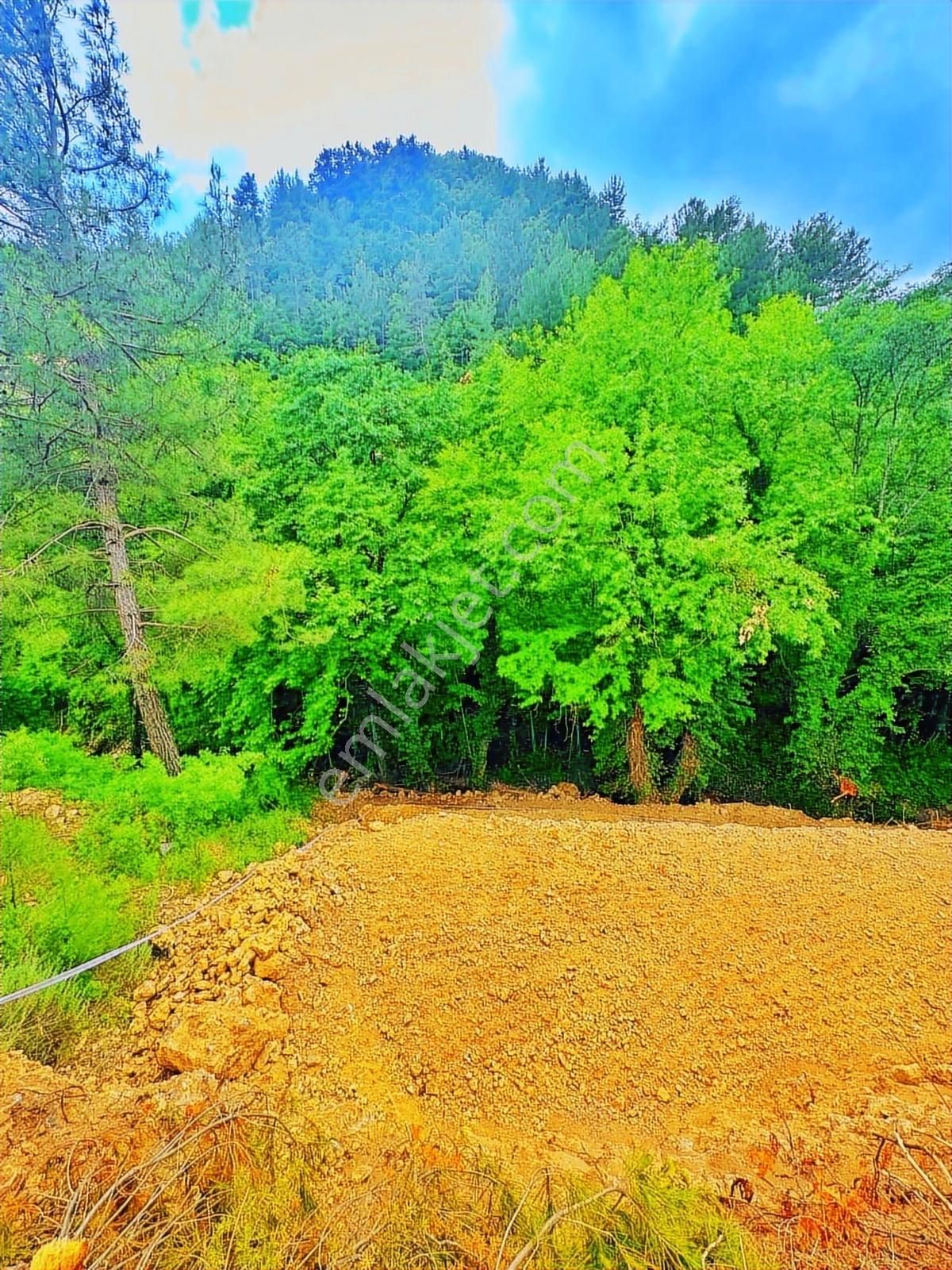 Dere Kenarı Doğa İçinde Yolu Suyu Olan Fırsat Tarla - Görsel 24