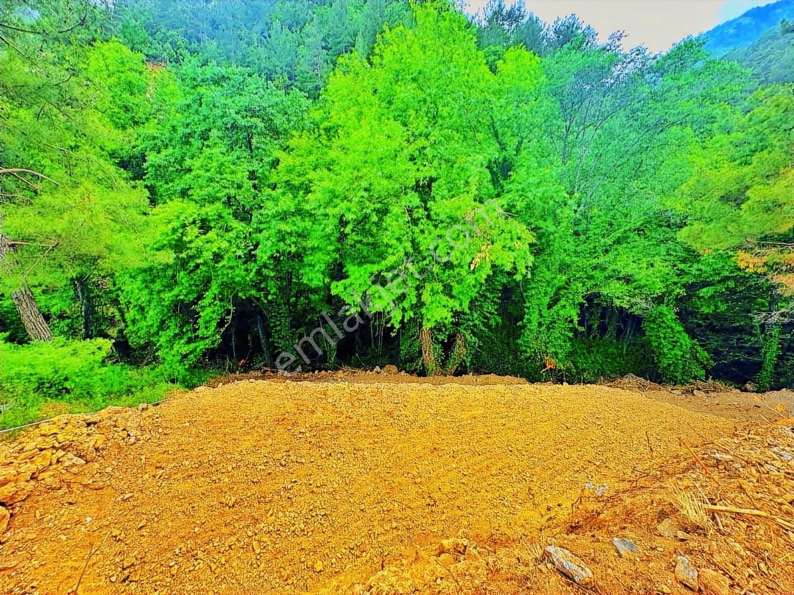 Dere Kenarı Doğa İçinde Yolu Suyu Olan Fırsat Tarla - Görsel 11