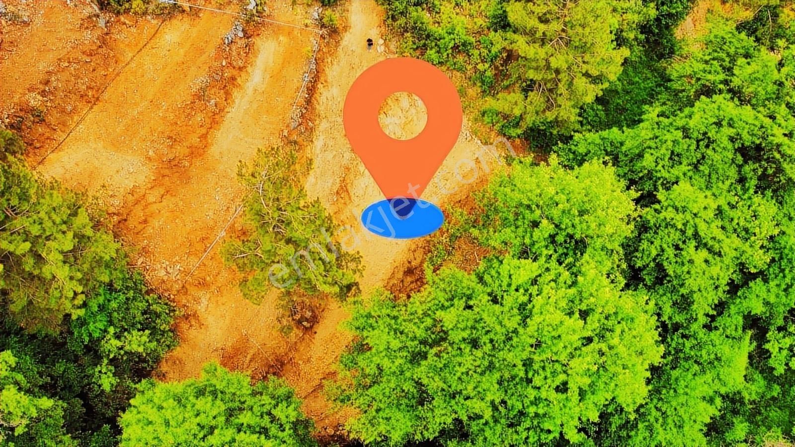 Dere Kenarı Doğa İçinde Yolu Suyu Olan Fırsat Tarla - Görsel 2