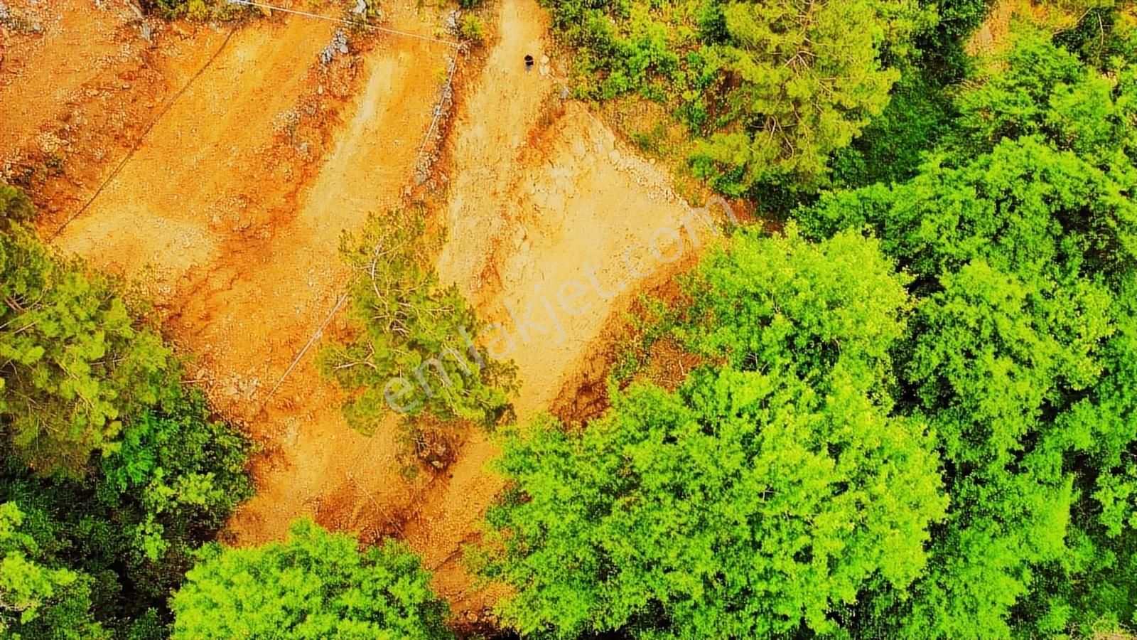 Dere Kenarı Doğa İçinde Yolu Suyu Olan Fırsat Tarla - Görsel 5