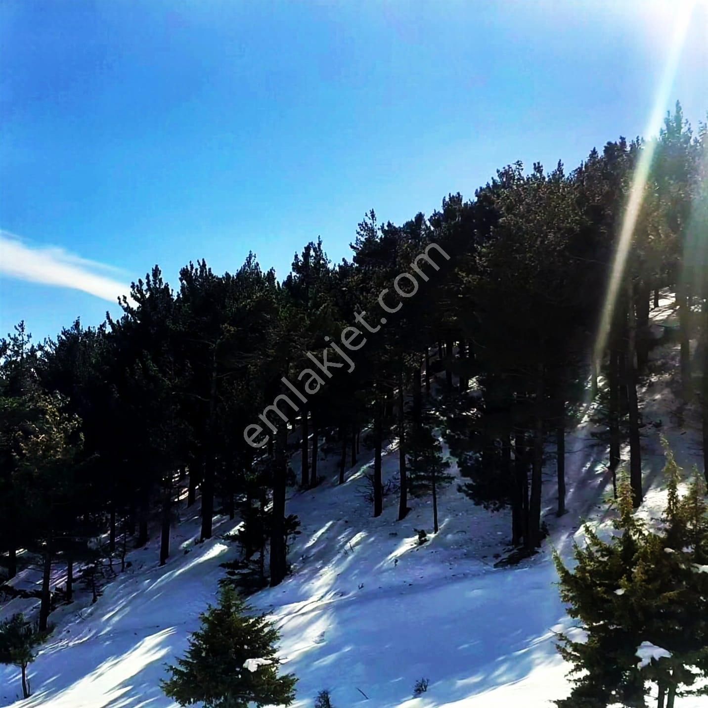 Kar Emlaktan Yenikonacık Bozkırlı Mevkiinde 400 M2 Satılık Arsa - Görsel 12