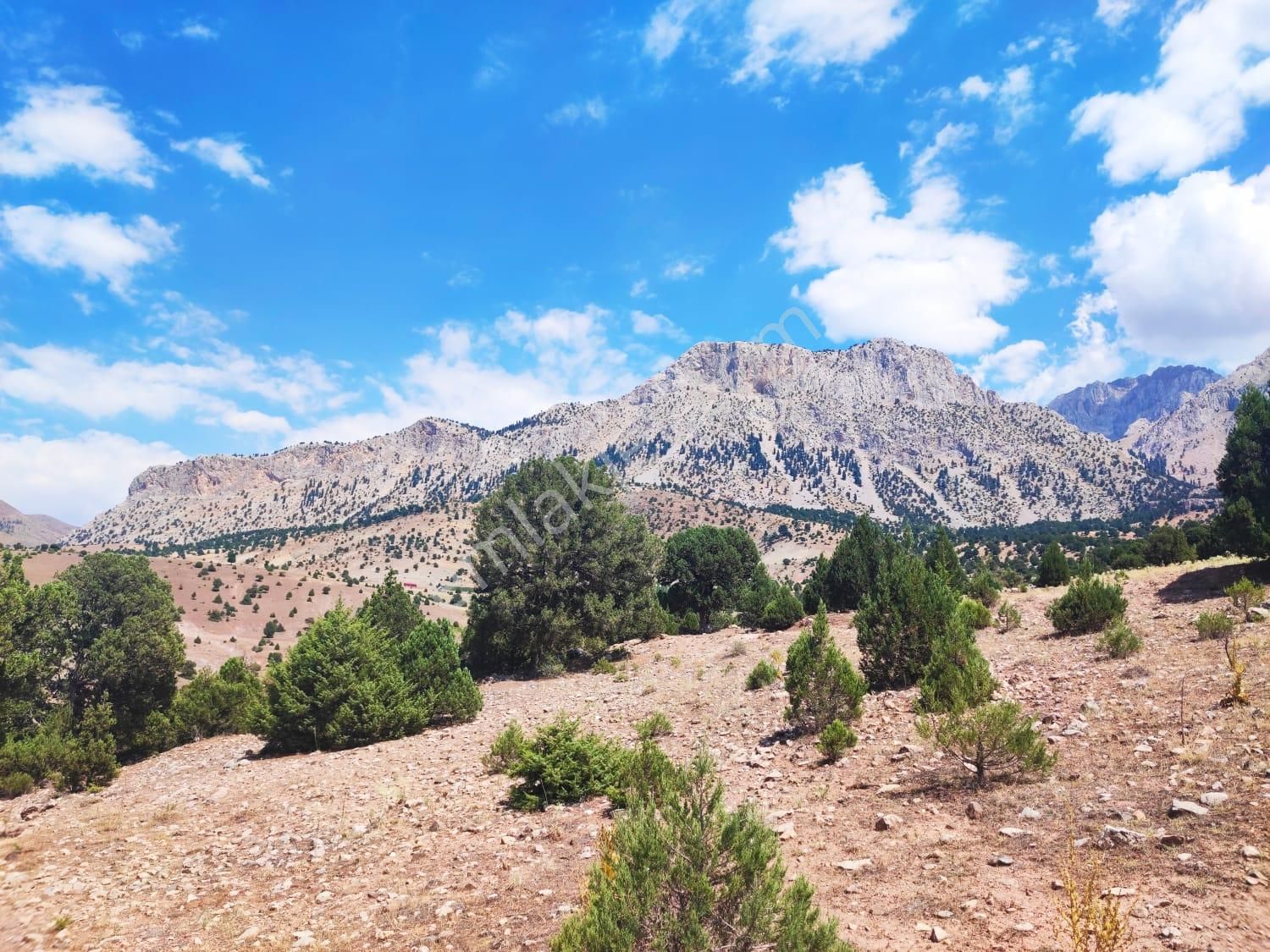 Kar Emlaktan Aşçıbekirli Fenese Mevkiinde 450 M2 Satılık Arsa - Görsel 23