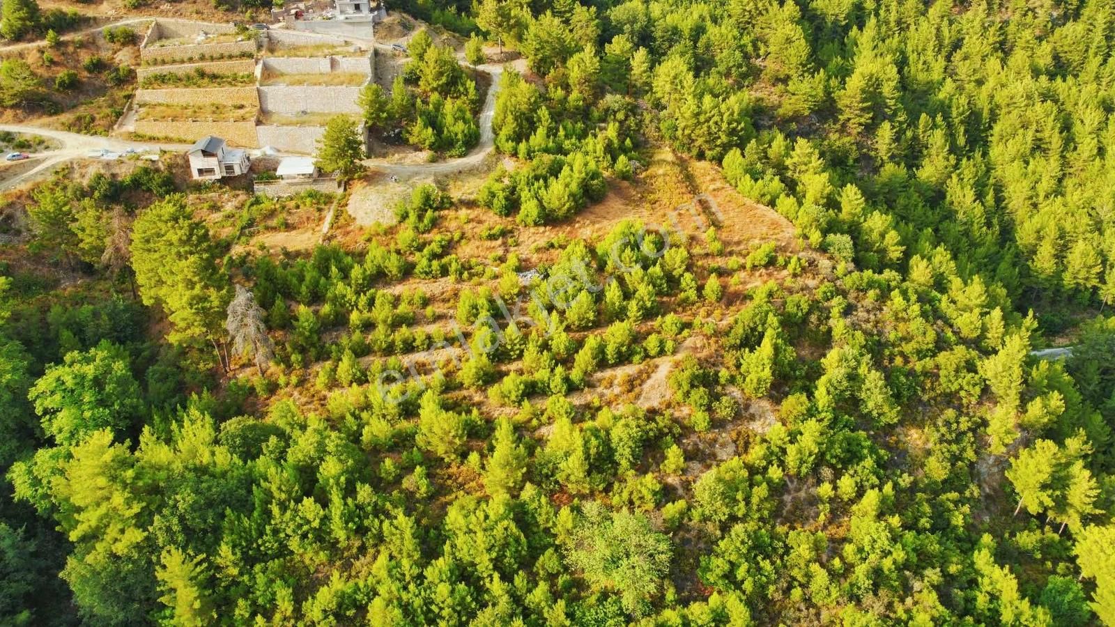 Baraj Manzaralı Önü Kapanmaz Fırsat Tarla - Görsel 20