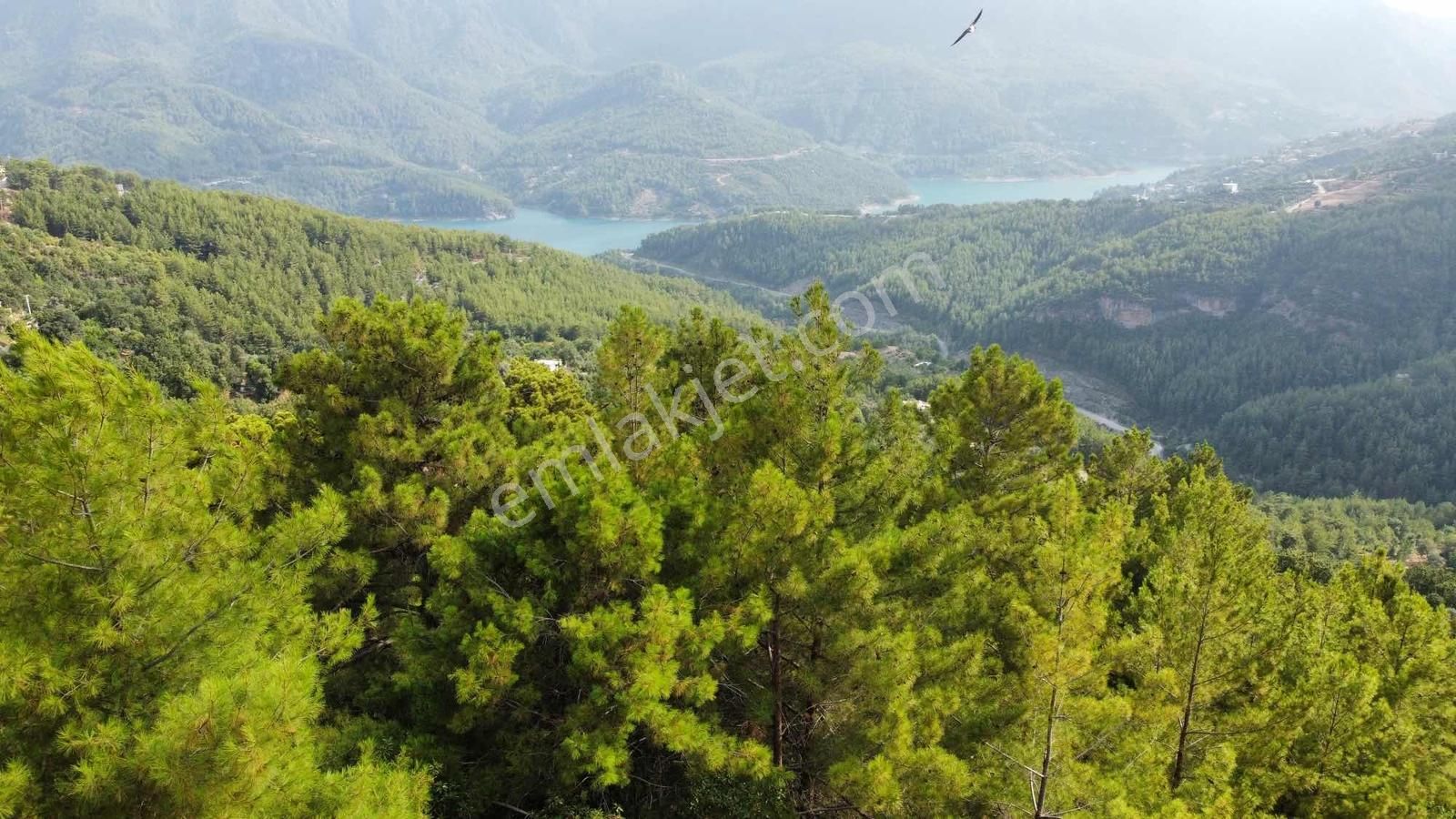 Baraj Manzaralı Önü Kapanmaz Fırsat Tarla - Görsel 9