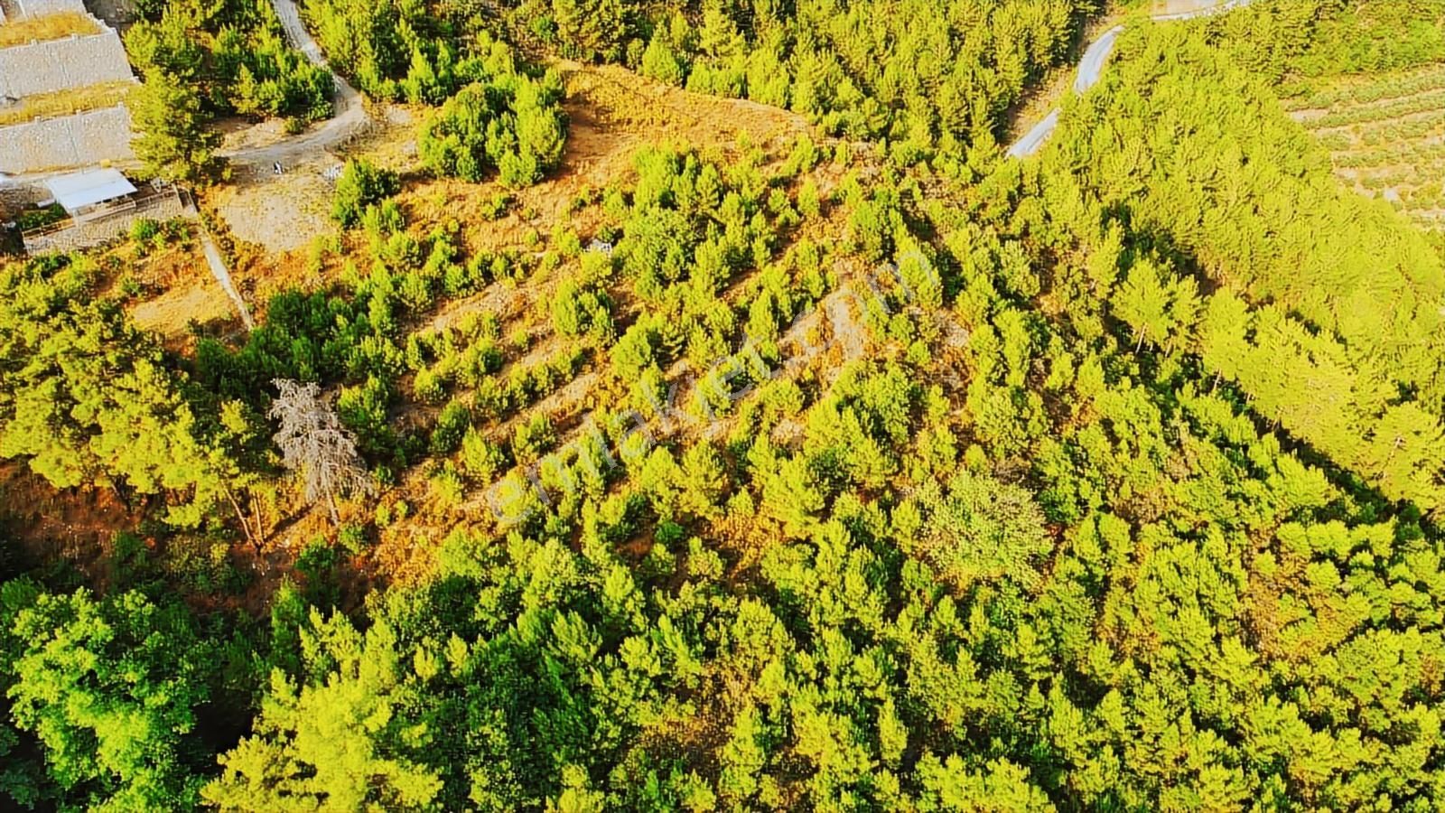 Baraj Manzaralı Önü Kapanmaz Fırsat Tarla - Görsel 5