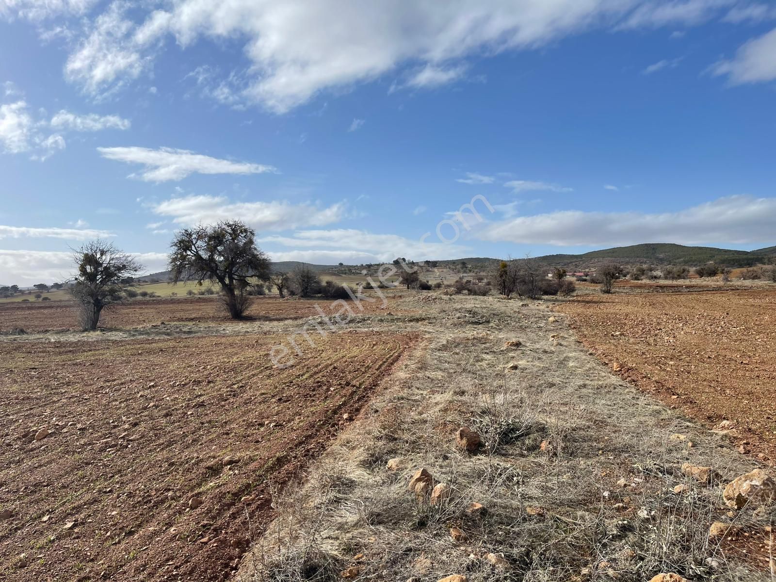 Kızılören Mevkiinde Yatırıma Uygun Satılık Tarla Arazi 24.065 M² - Görsel 4
