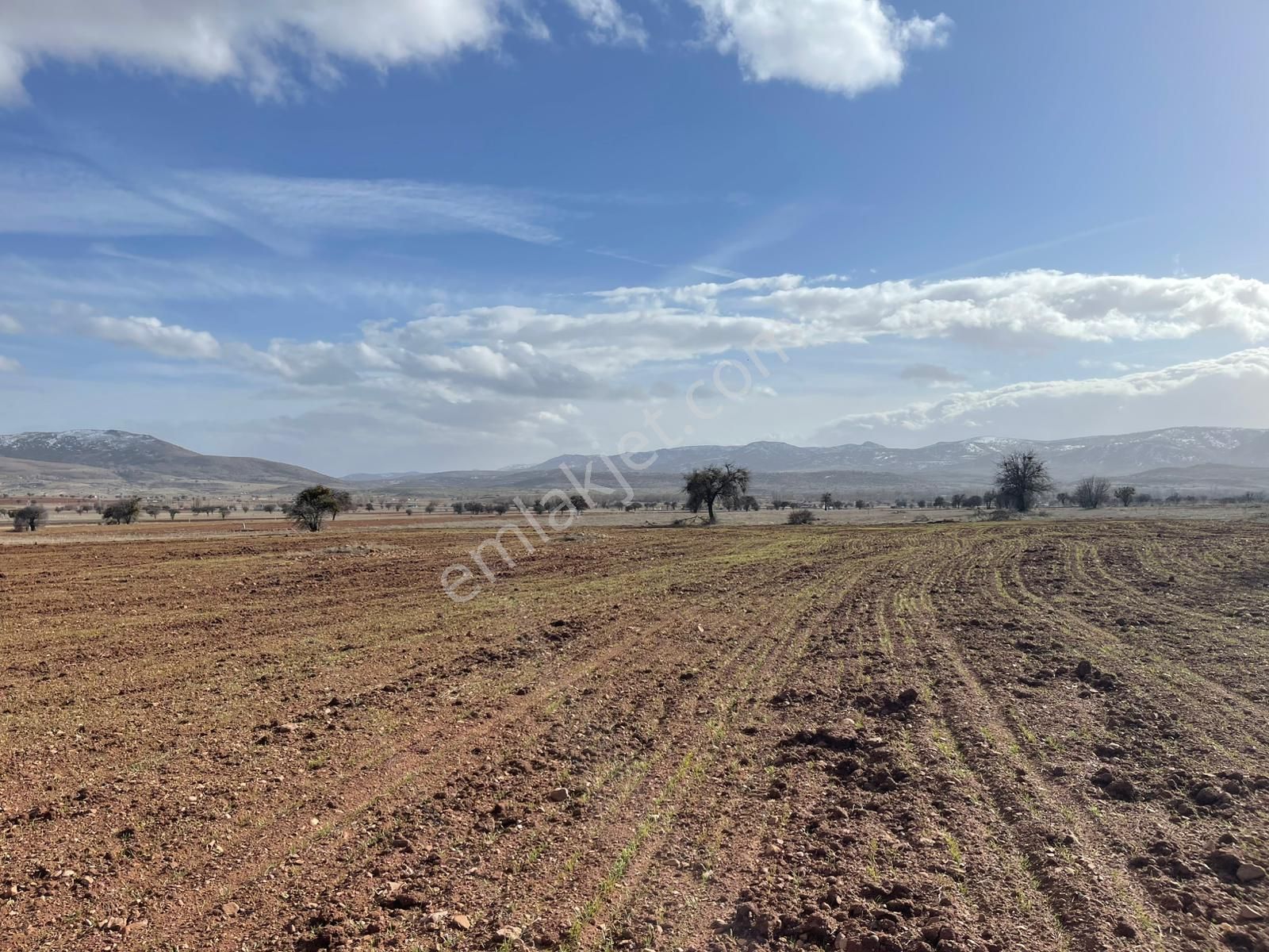 Kızılören Mevkiinde Yatırıma Uygun Satılık Tarla Arazi 24.065 M² - Görsel 2