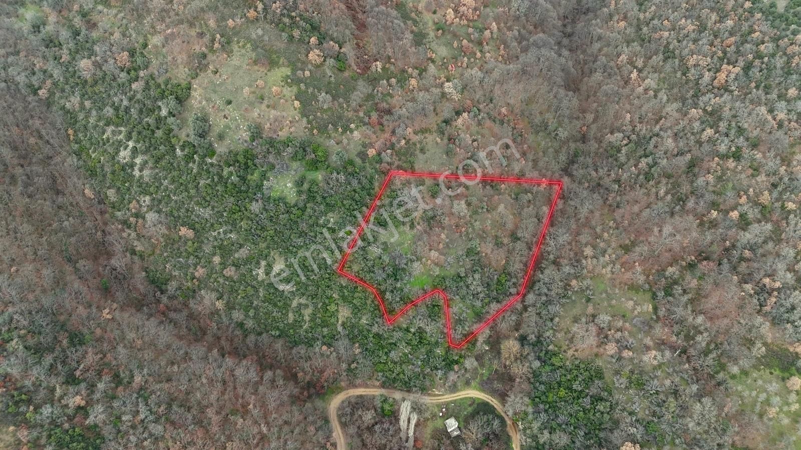 İznik Sarıağıl'da Yoldan 20 Metre İçeride 6132 M2 Tarla - Görsel 8