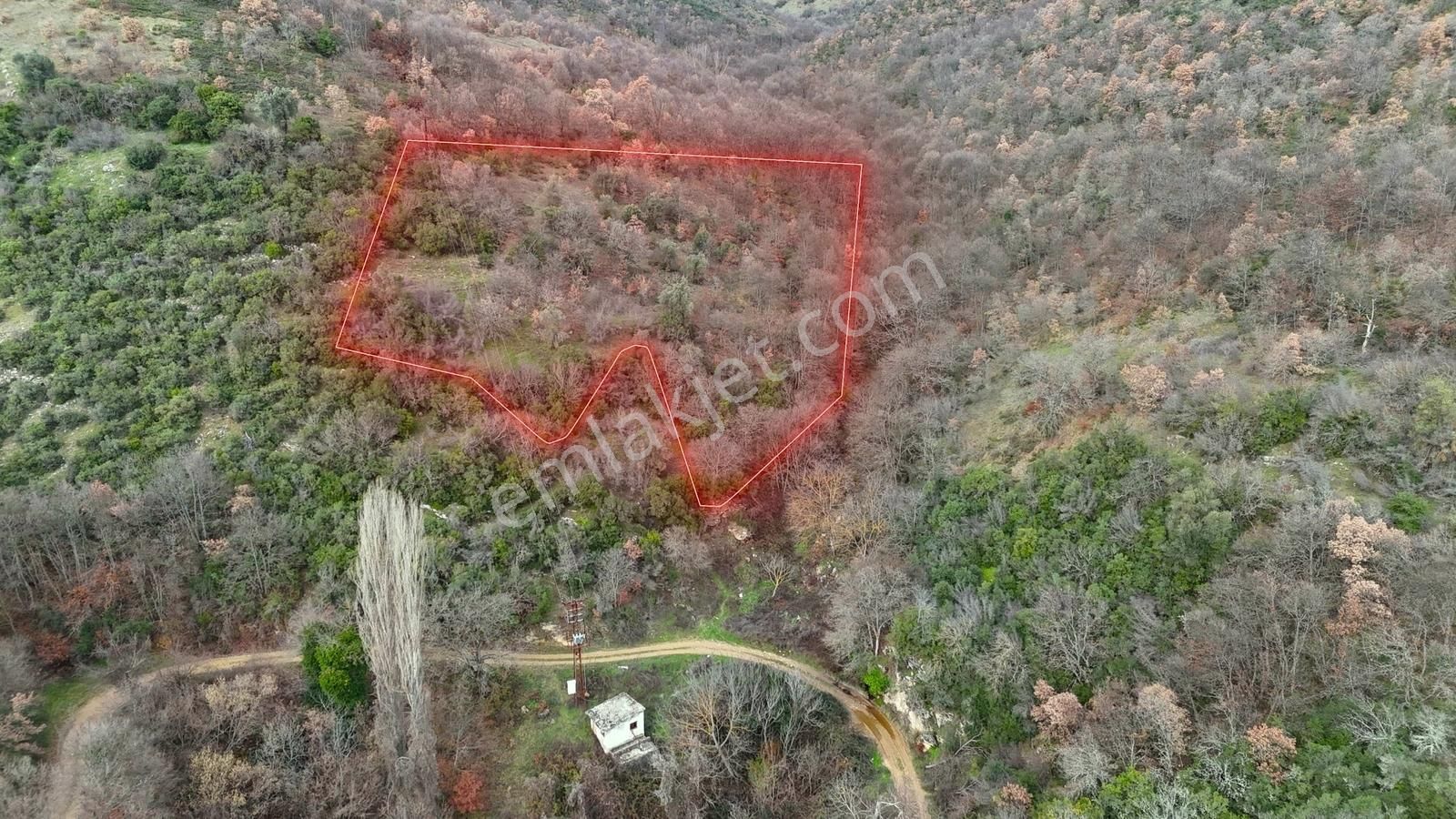 İznik Sarıağıl'da Yoldan 20 Metre İçeride 6132 M2 Tarla