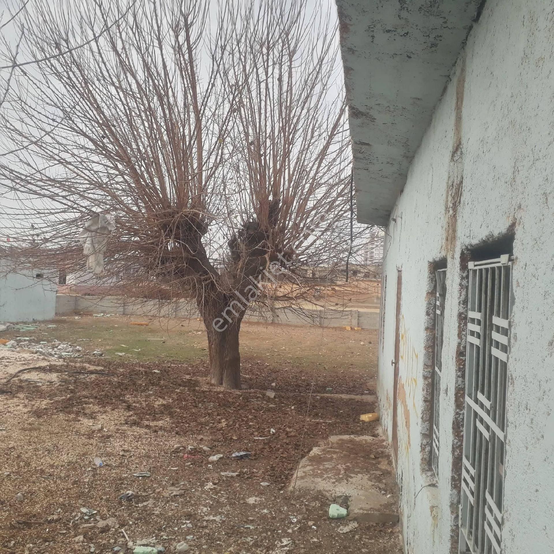 Ulubağ Arsa Ahır - Görsel 2