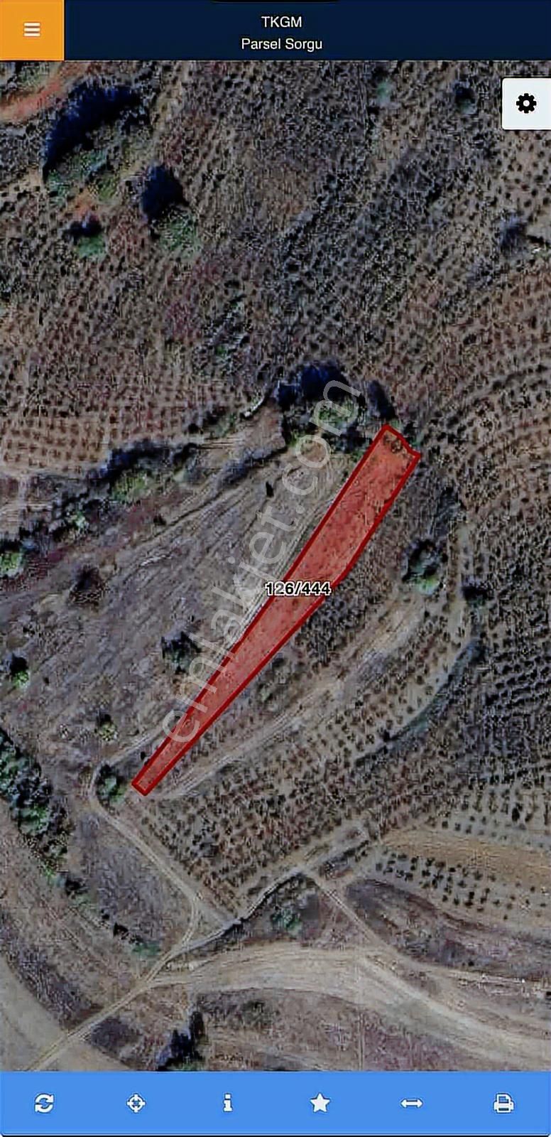 Tarcanlardan,kandıra Ağaçağılda Satılık 2 Ayrı Parsel - Görsel 2