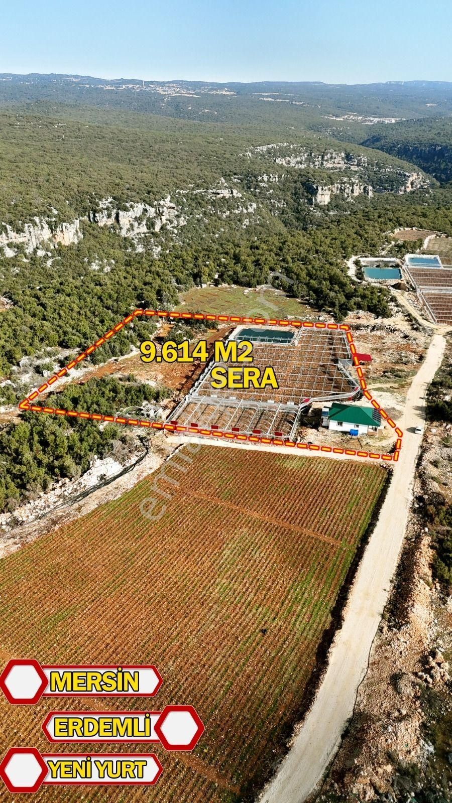 Erdemli Yeniyurt 9613 M2 Arsa Üzeri Satılık Sera + Müstakil Ev - Görsel 6