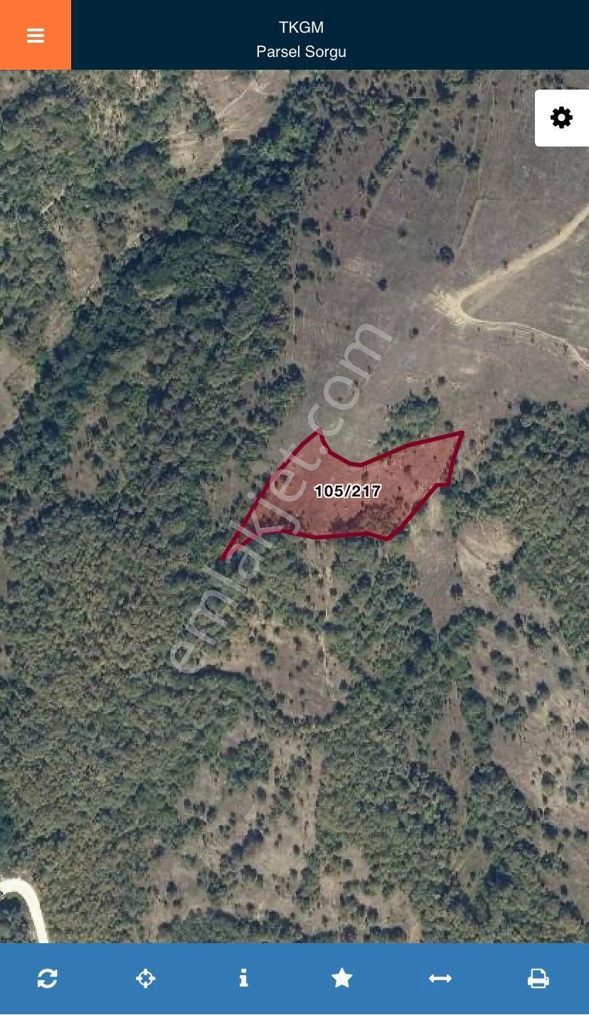 Akgün Kurumsal'dan Kavak Da Satılık 5812 M2 Arsa - Görsel 2