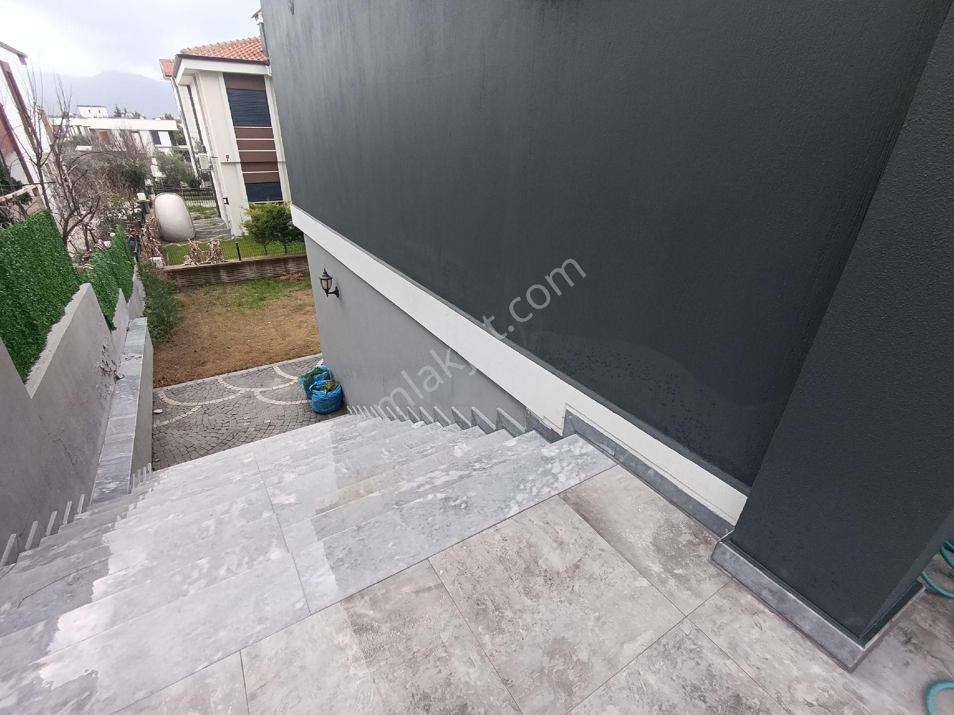 Soğucakta Tek Müstakil Sıfır - Görsel 8